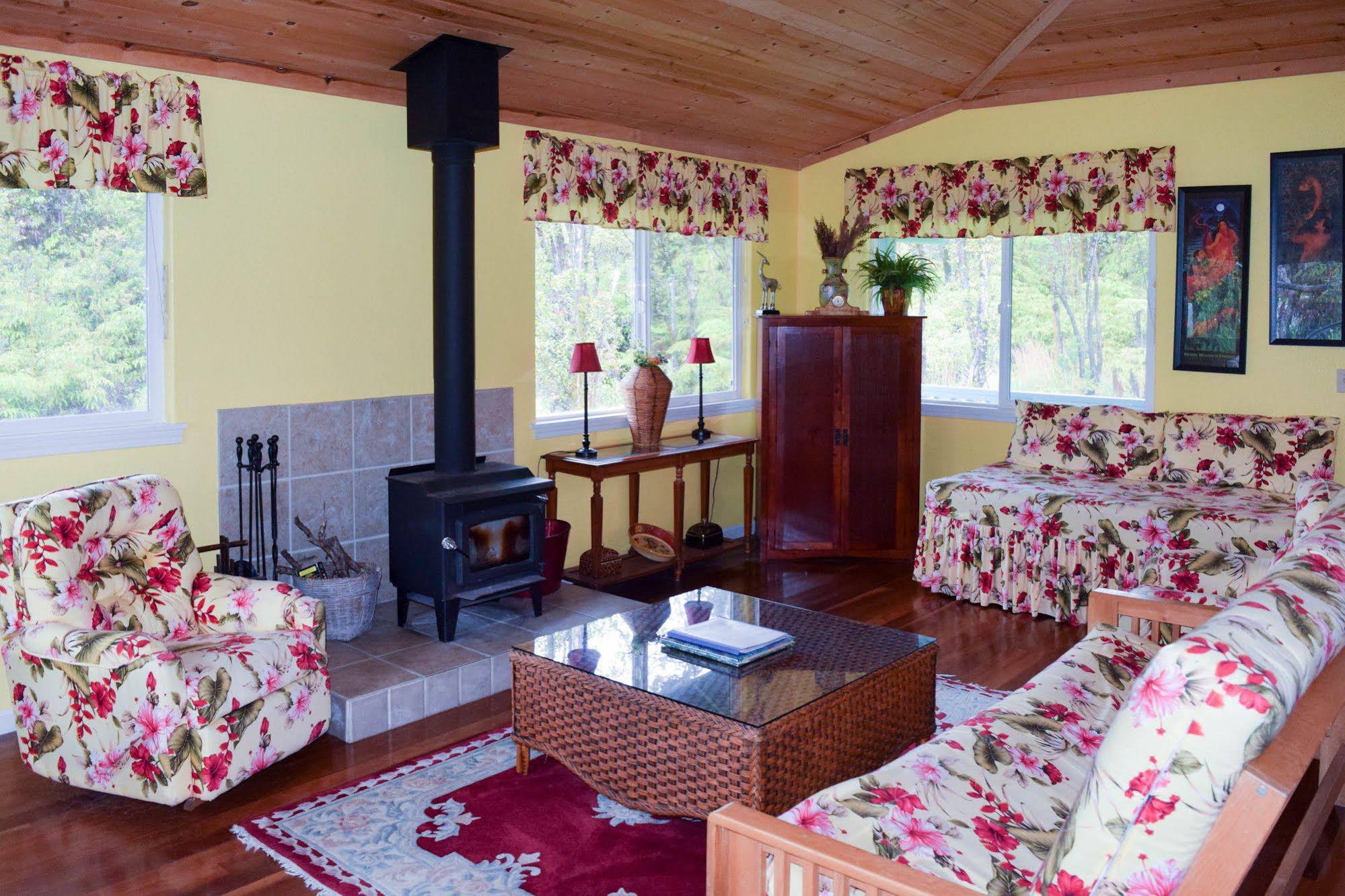 Kahu Io Guardian Hawk