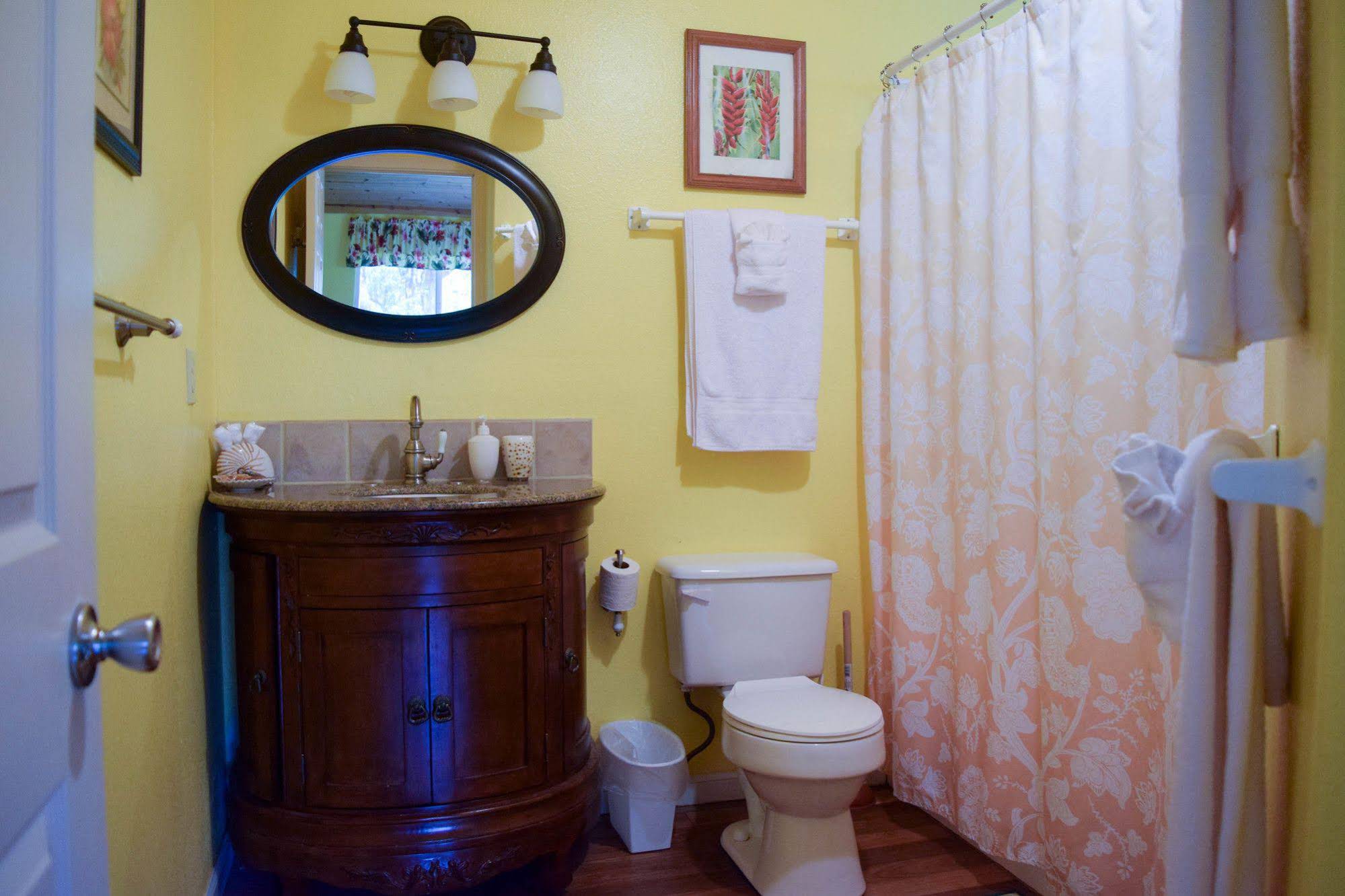 Kahu Io Guardian Hawk