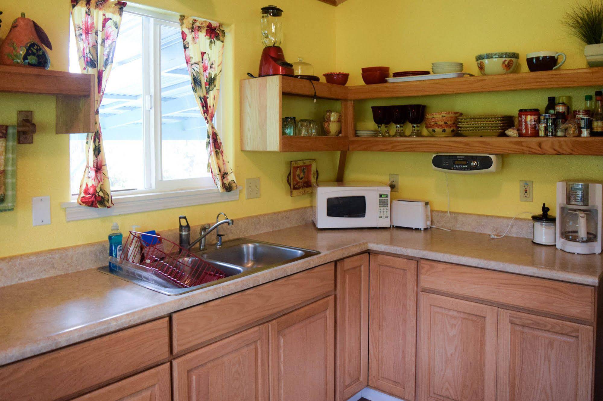 Kahu Io Guardian Hawk