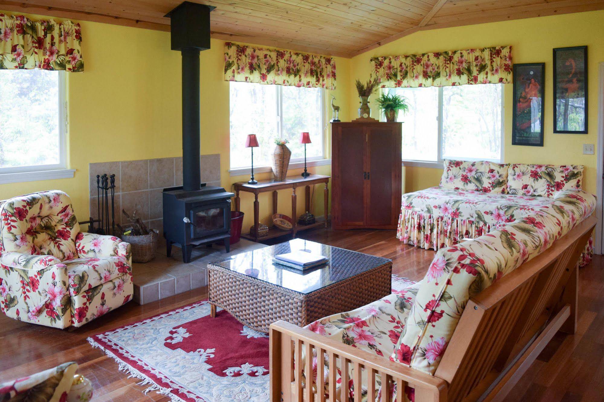 Kahu Io Guardian Hawk