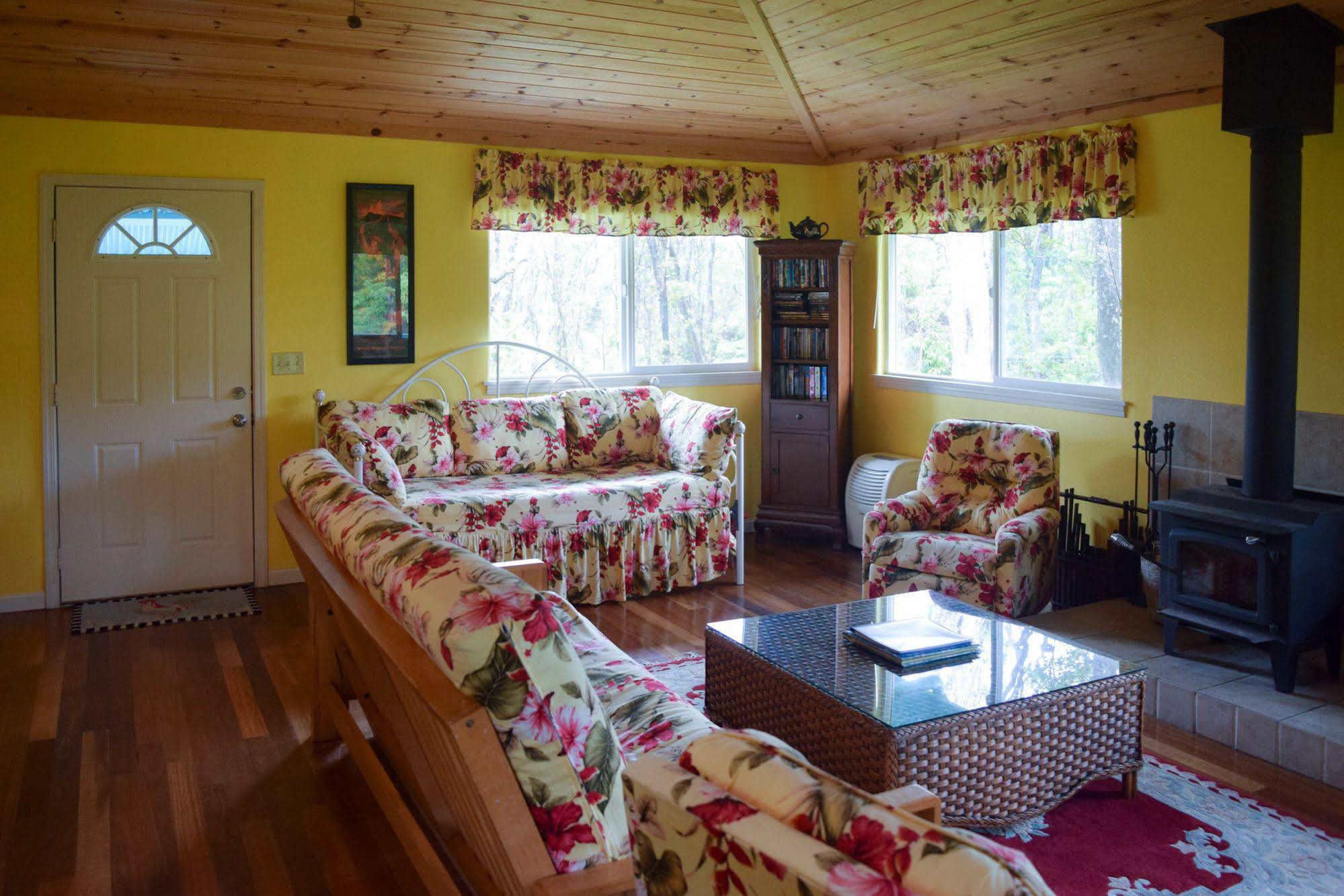 Kahu Io Guardian Hawk