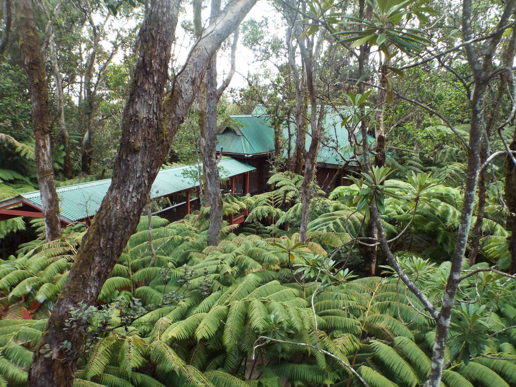 The Guest Cottages at Volcano Acres Tree House