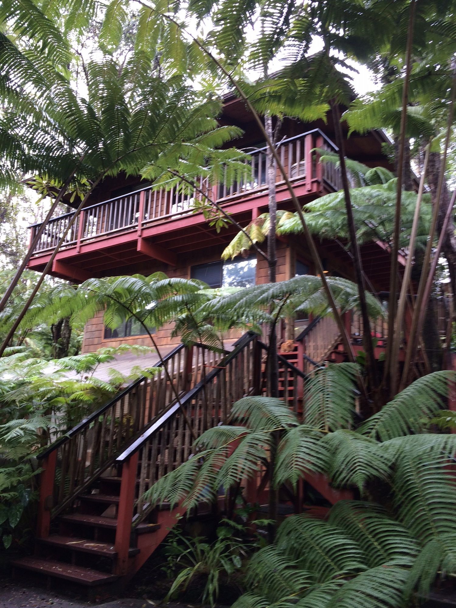 The Guest Cottages at Volcano Acres Tree House
