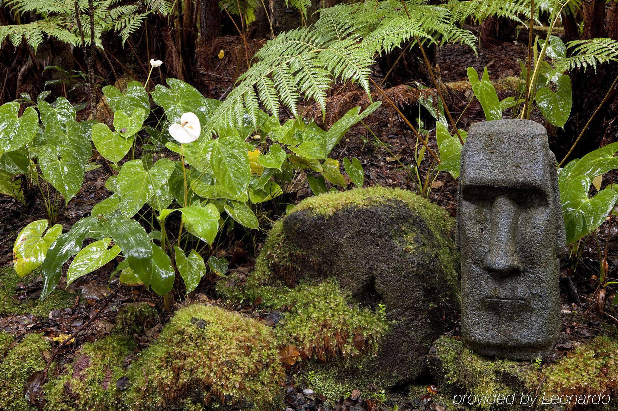 Volcano Village Lodge