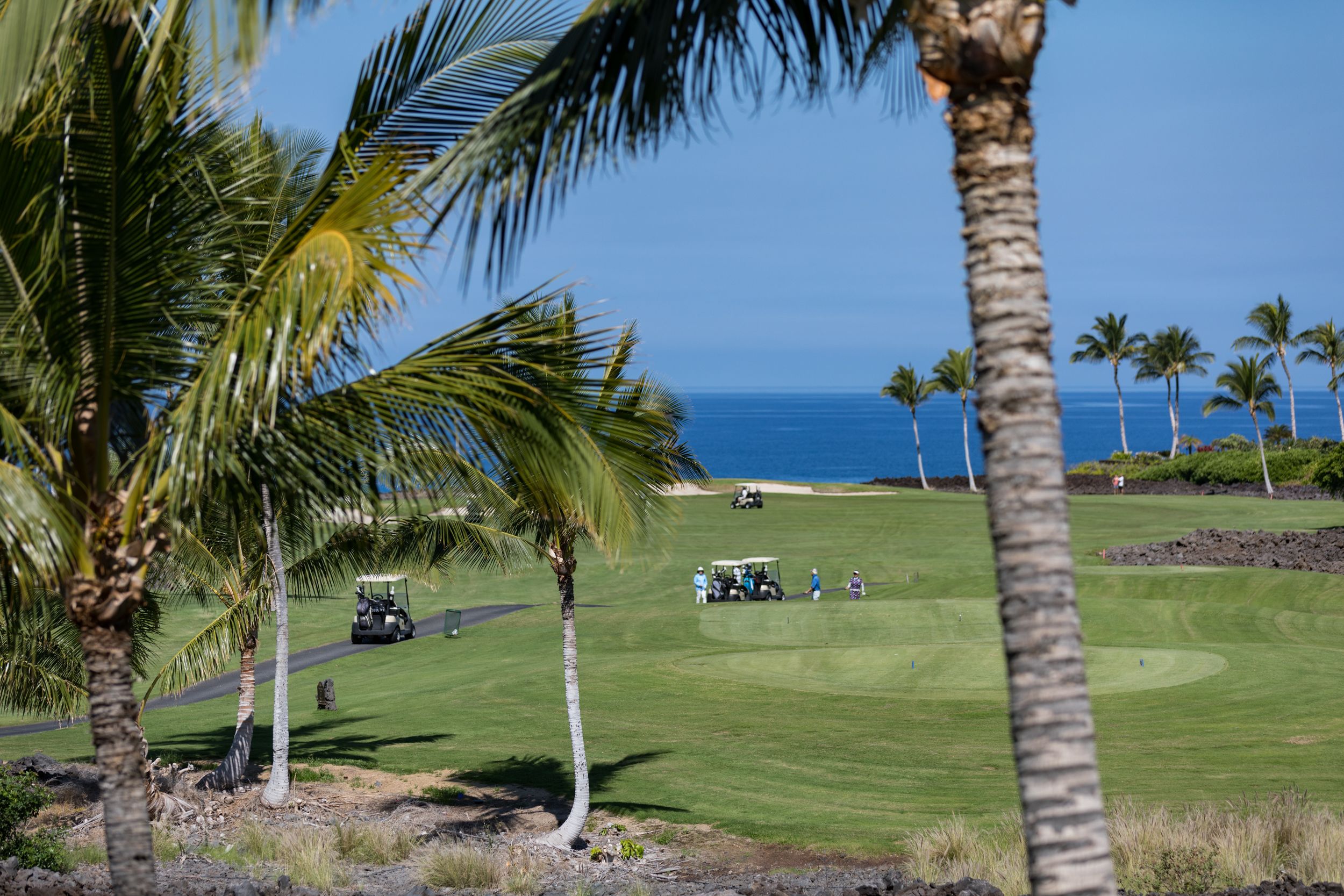 Halii Kai at Waikoloa