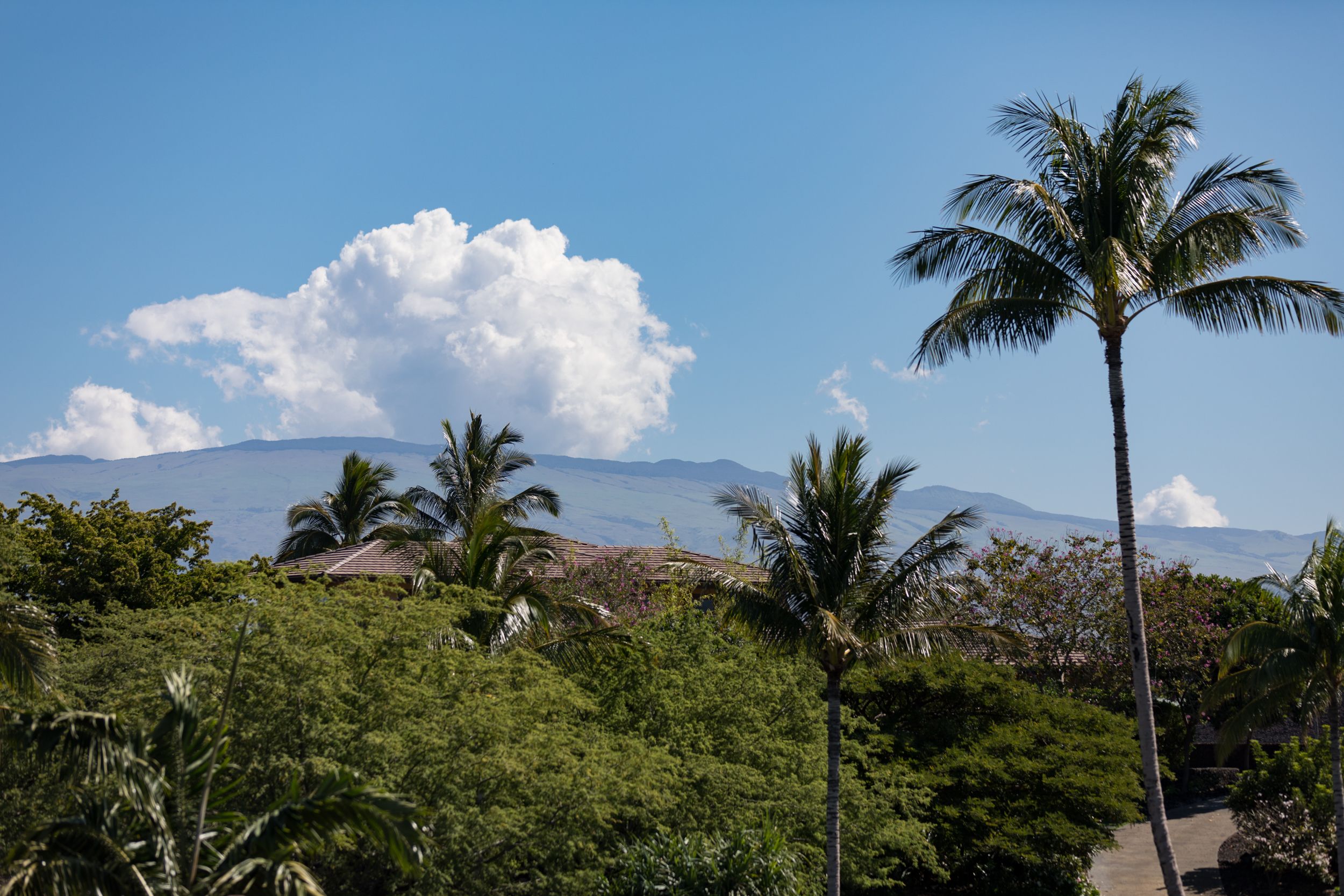 Halii Kai at Waikoloa
