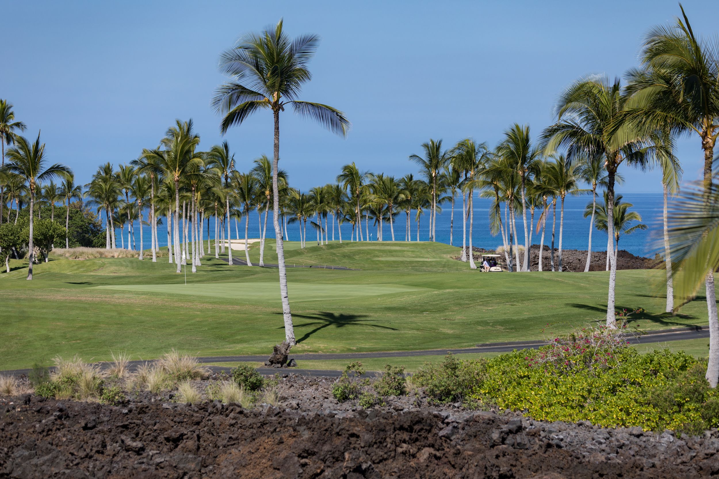Halii Kai at Waikoloa