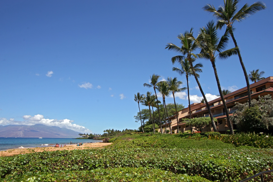 Makena Surf