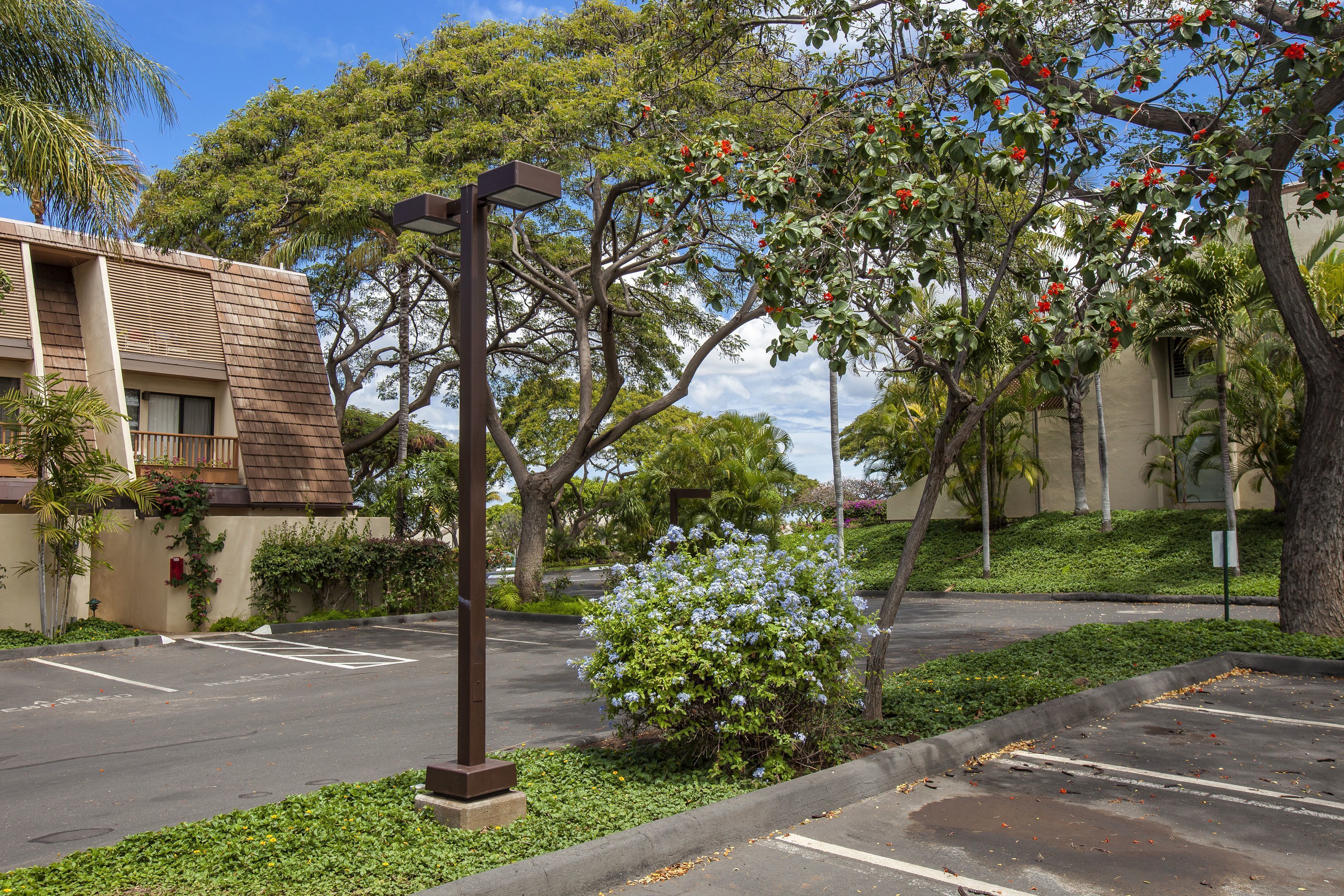 Maui Kamaole by Maui Condo and Home