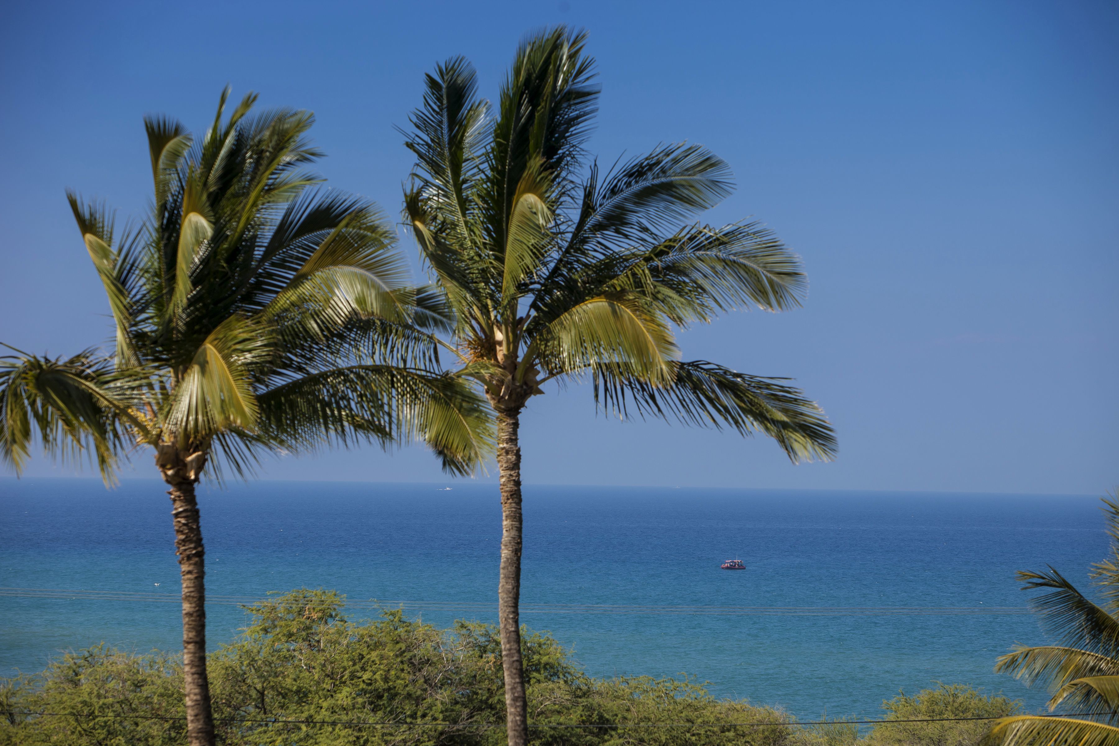 Maui Kamaole by Maui Condo and Home