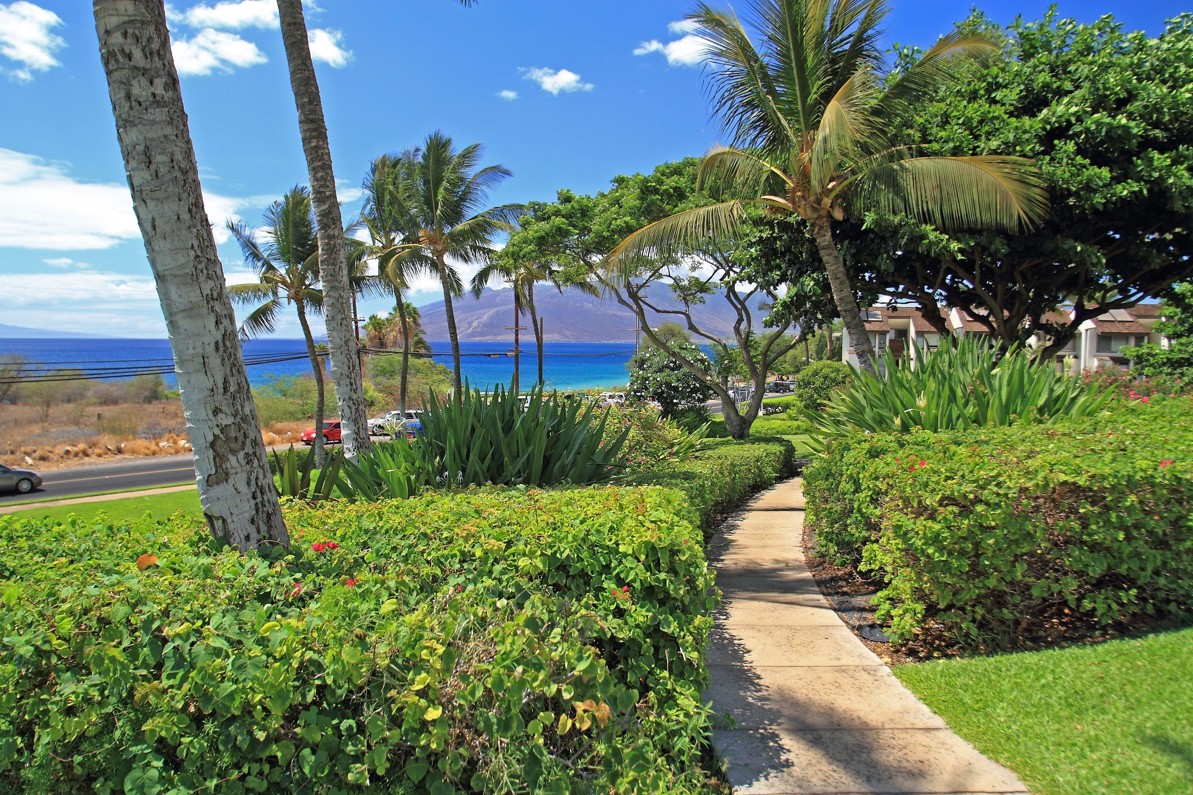 Maui Kamaole by Maui Condo and Home