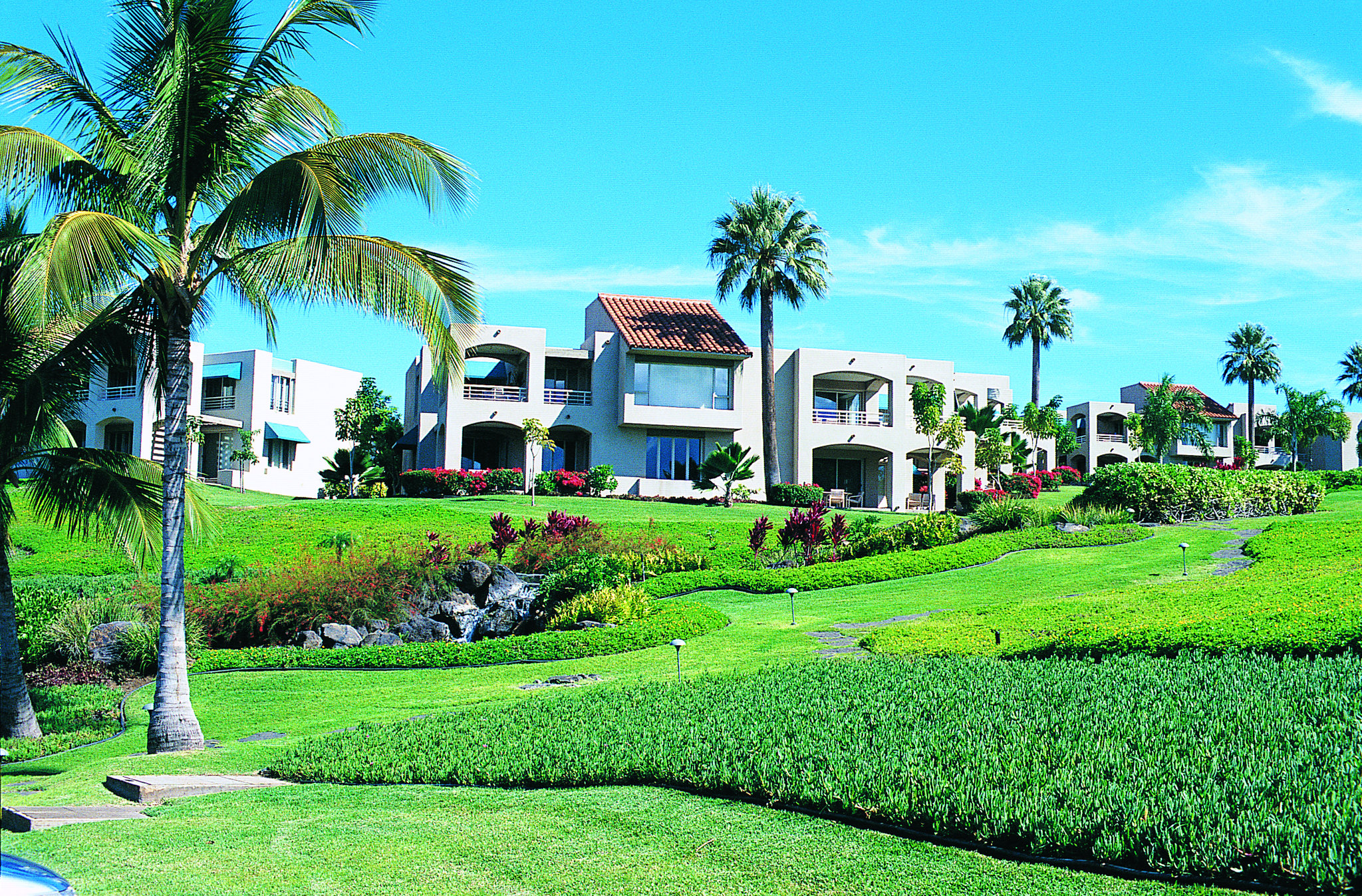 The Palms at Wailea