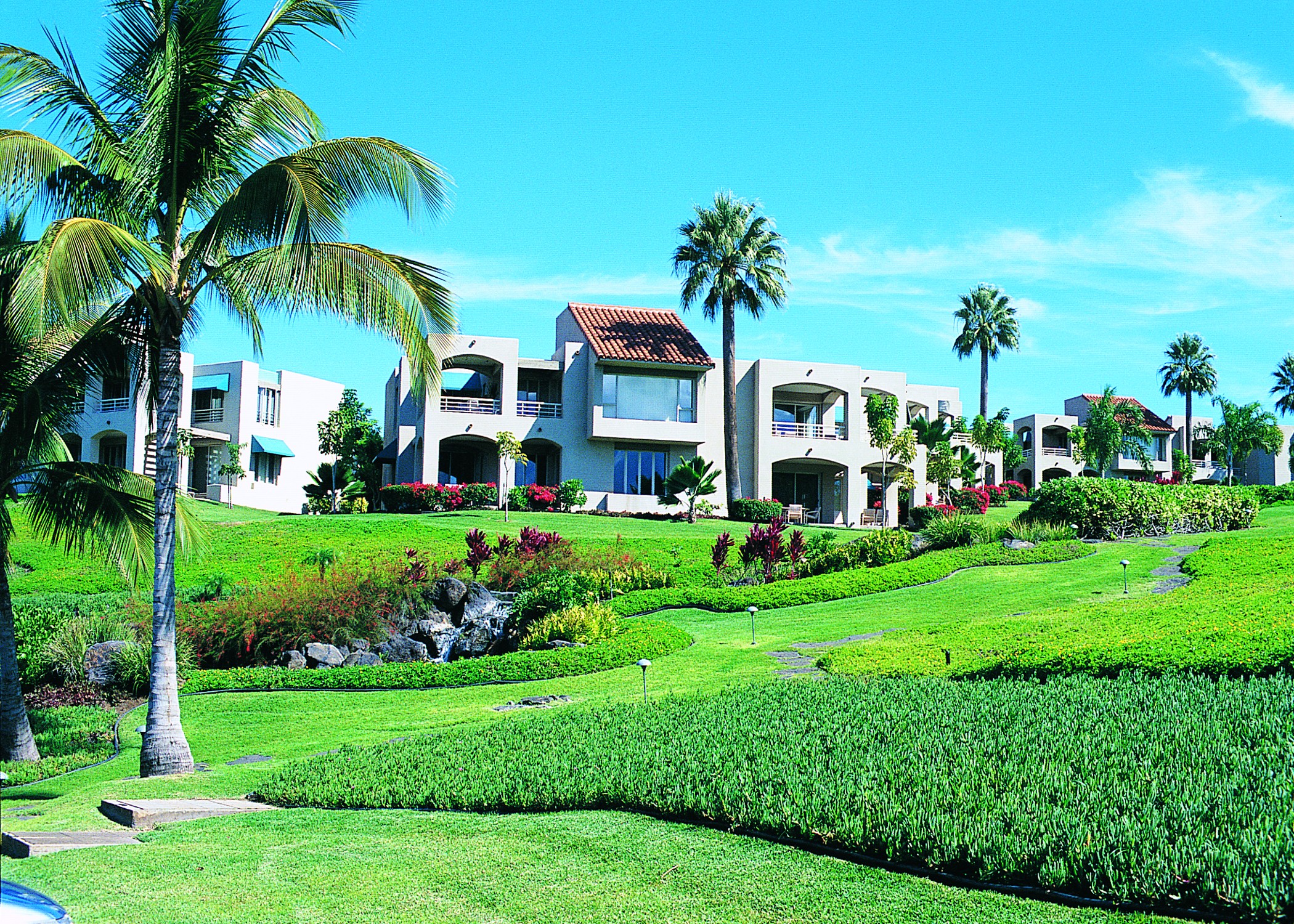 The Palms at Wailea