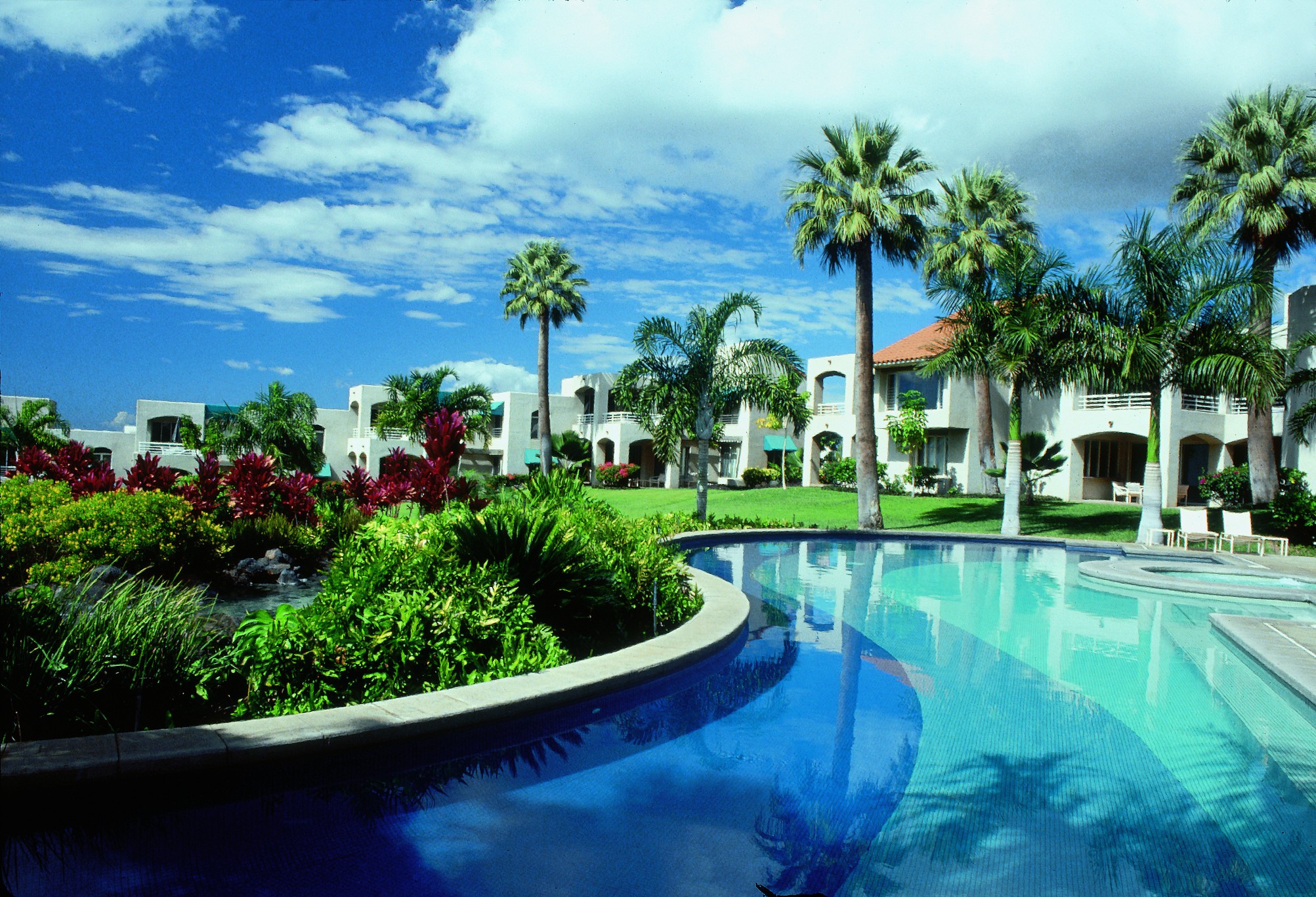 The Palms at Wailea