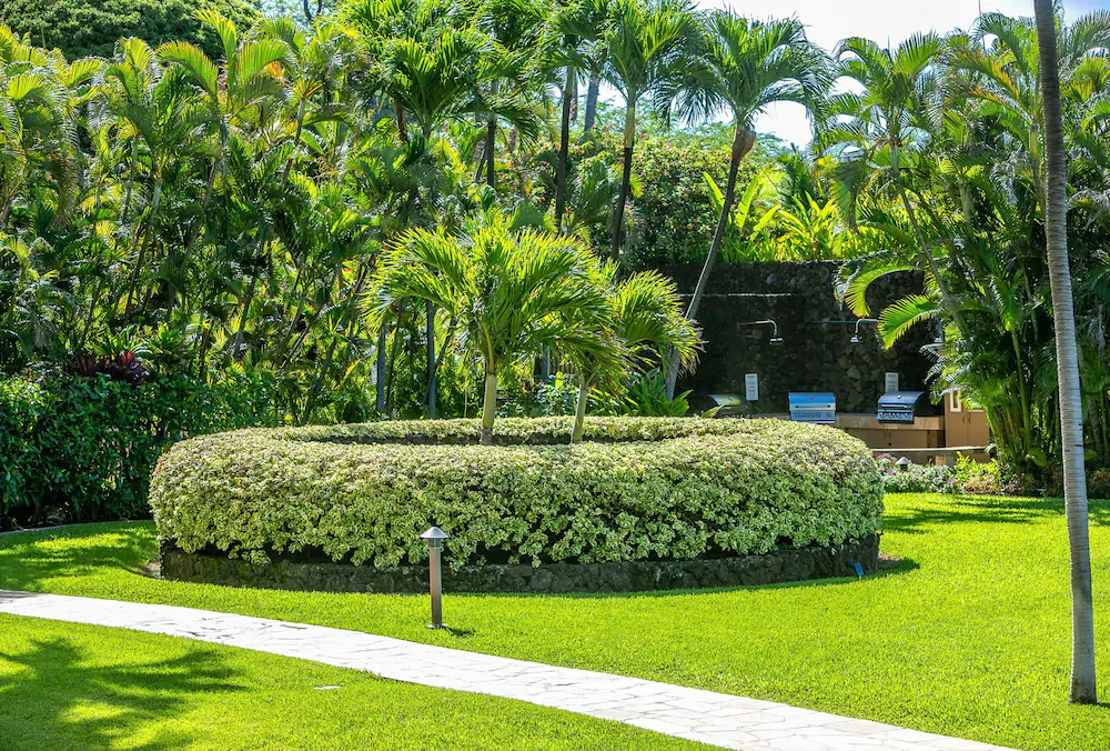 Polo Beach Club by Coldwell Banker Island Vacations