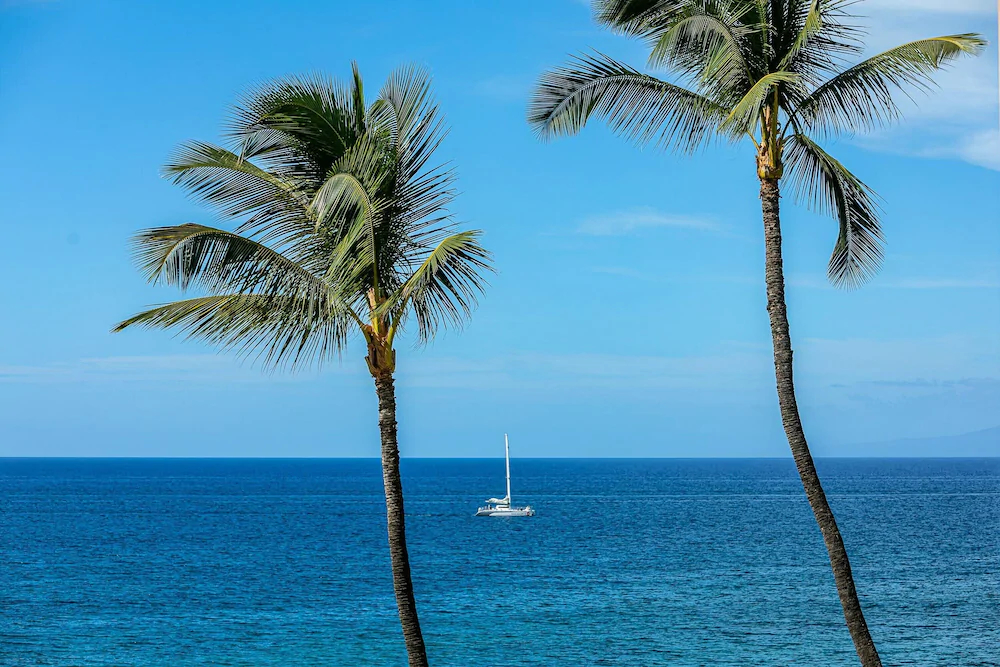 Polo Beach Club by Coldwell Banker Island Vacations