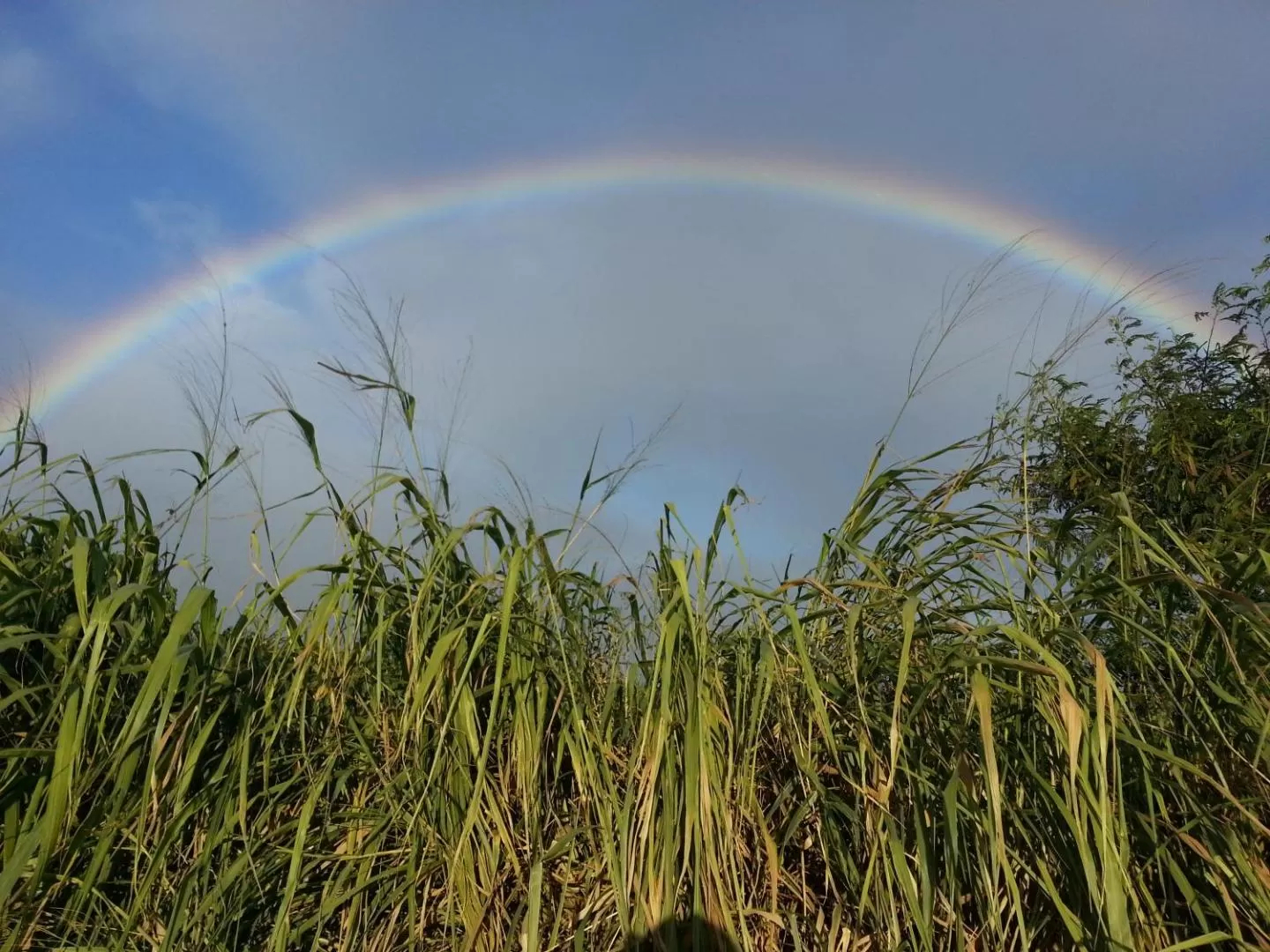 The Northshore Hostel Maui