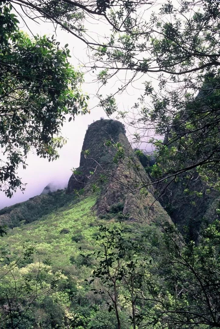 The Northshore Hostel Maui