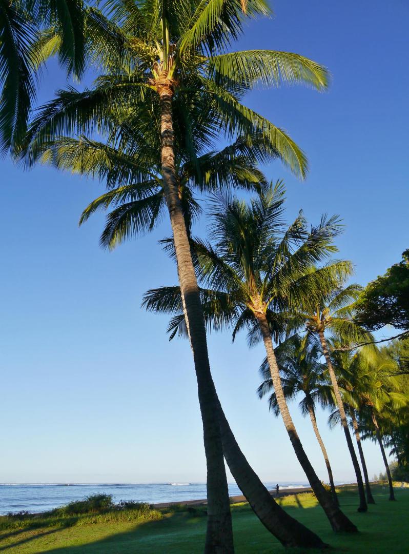 Waimea Plantation Cottages Kauai