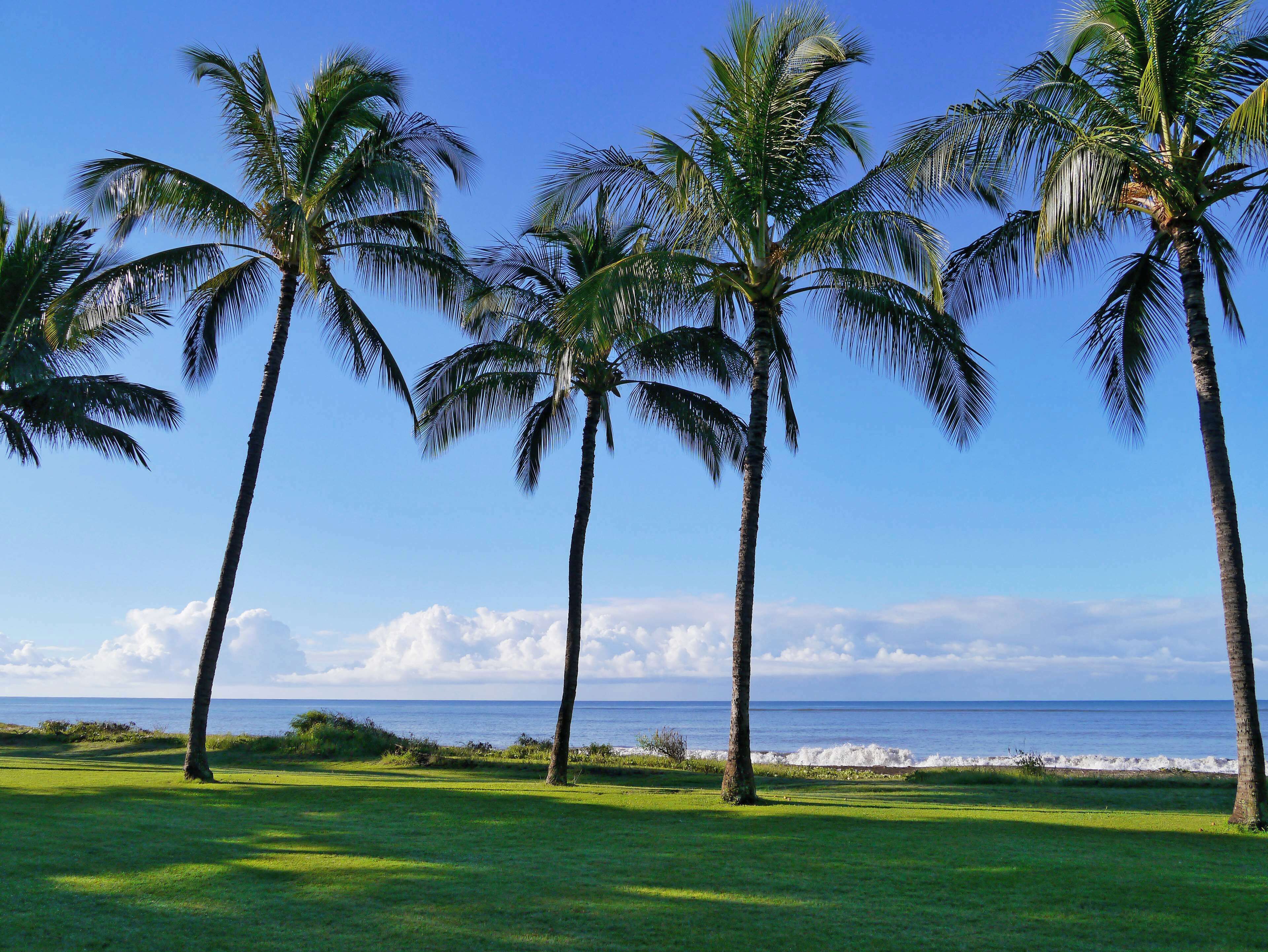 Waimea Plantation Cottages Kauai