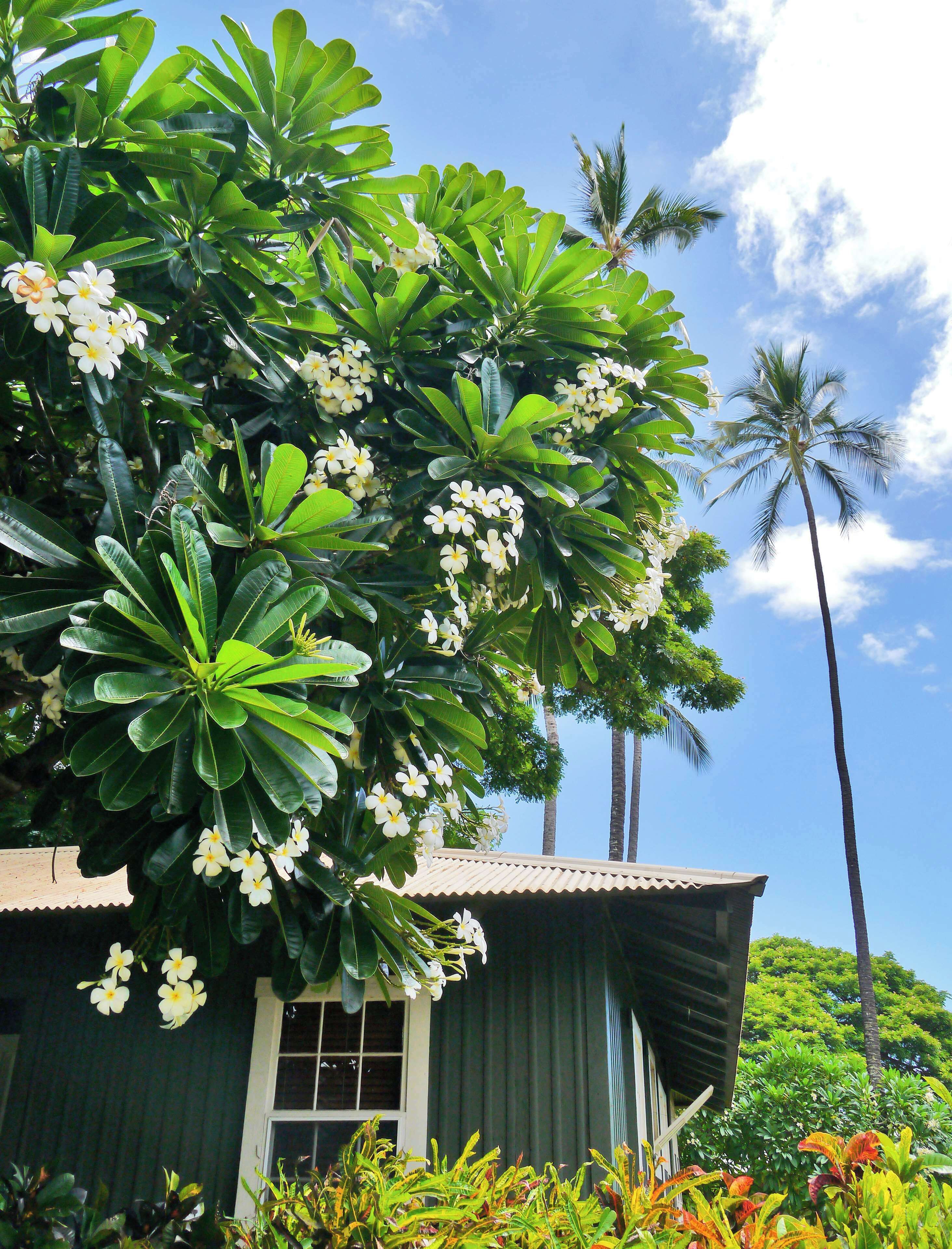 Waimea Plantation Cottages Kauai