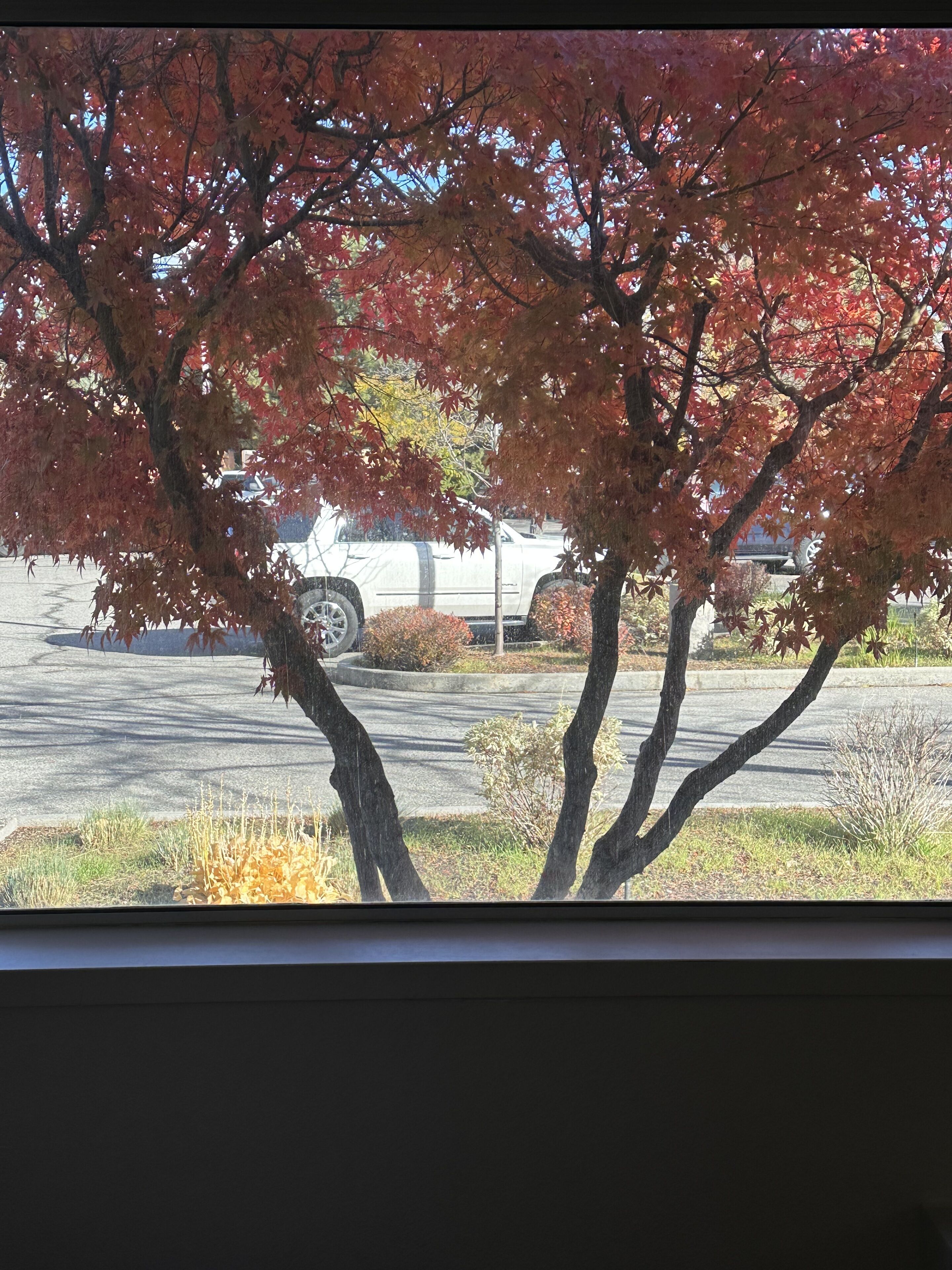 Holiday Inn Express Boise-University Area