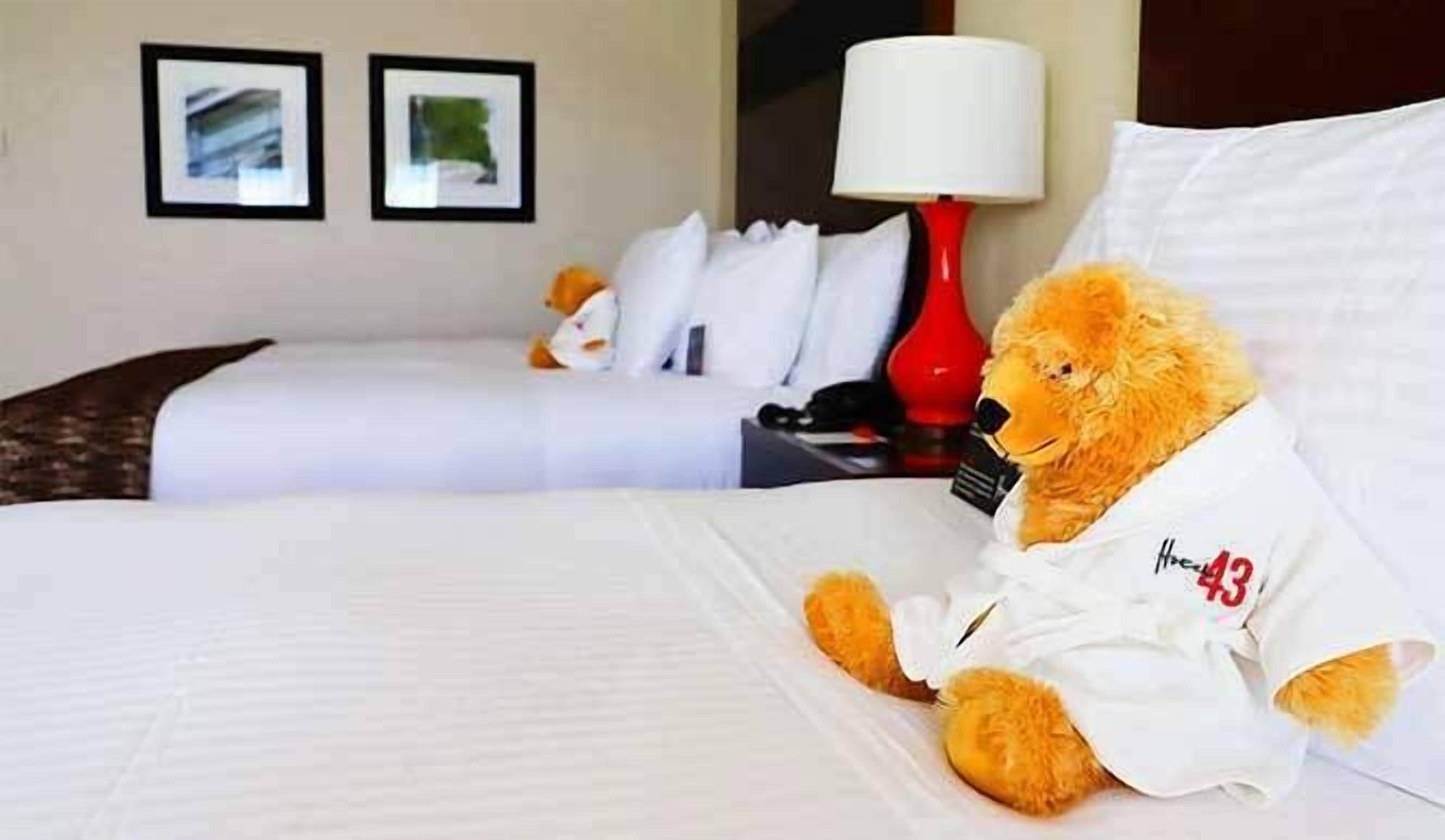 Hotel 43