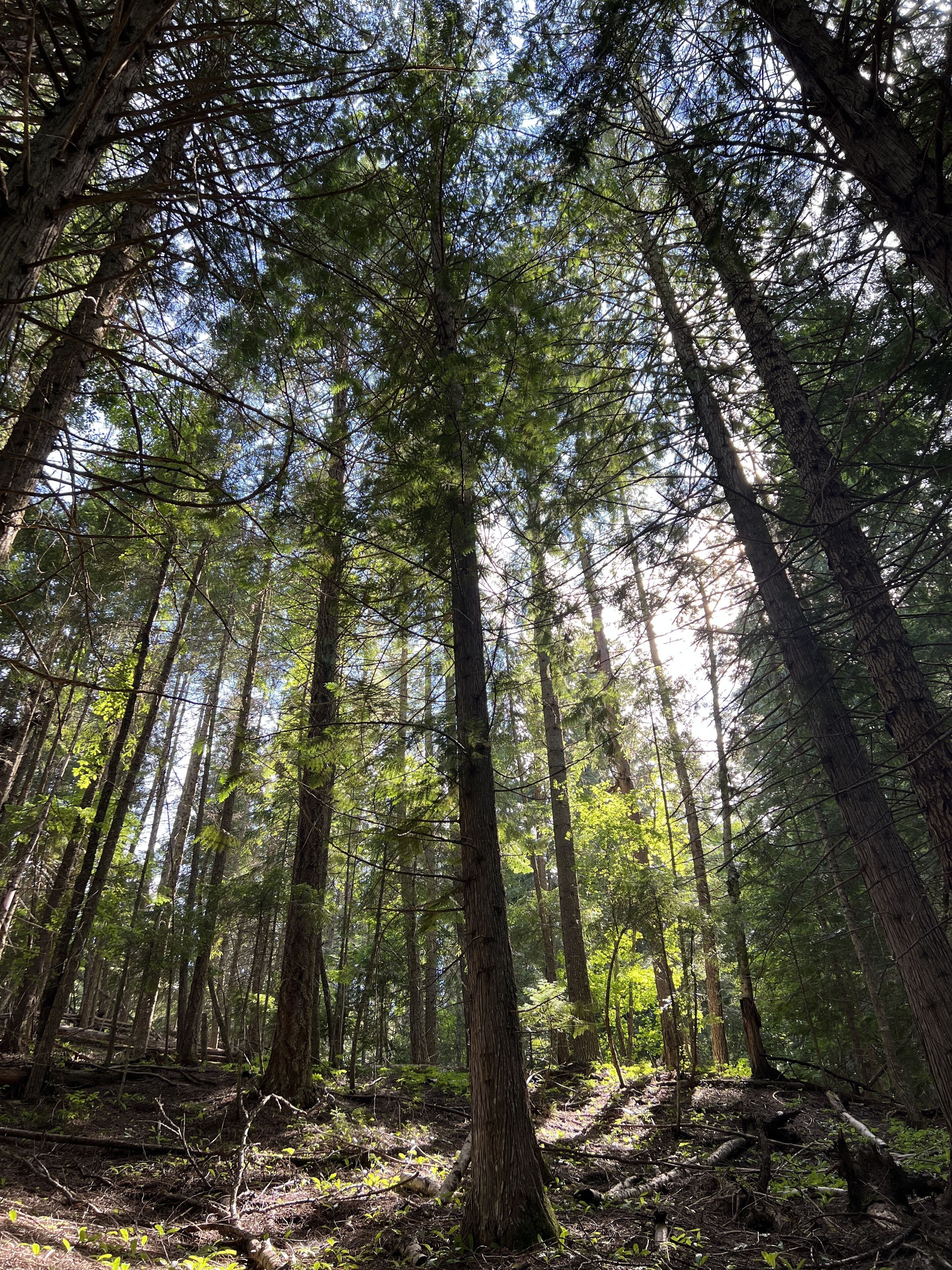 North Haven Campground