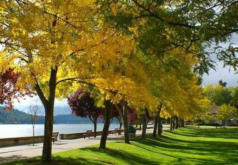 SpringHill Suites Coeur d'Alene