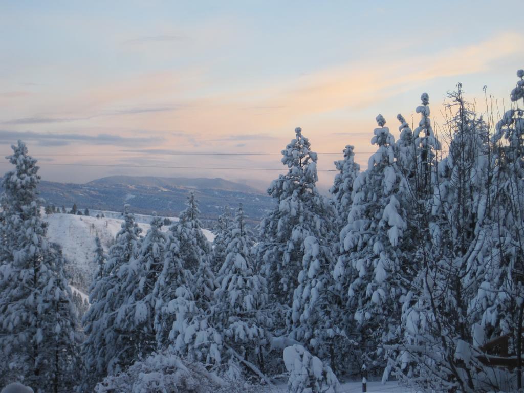 Whitebird Summit B And B