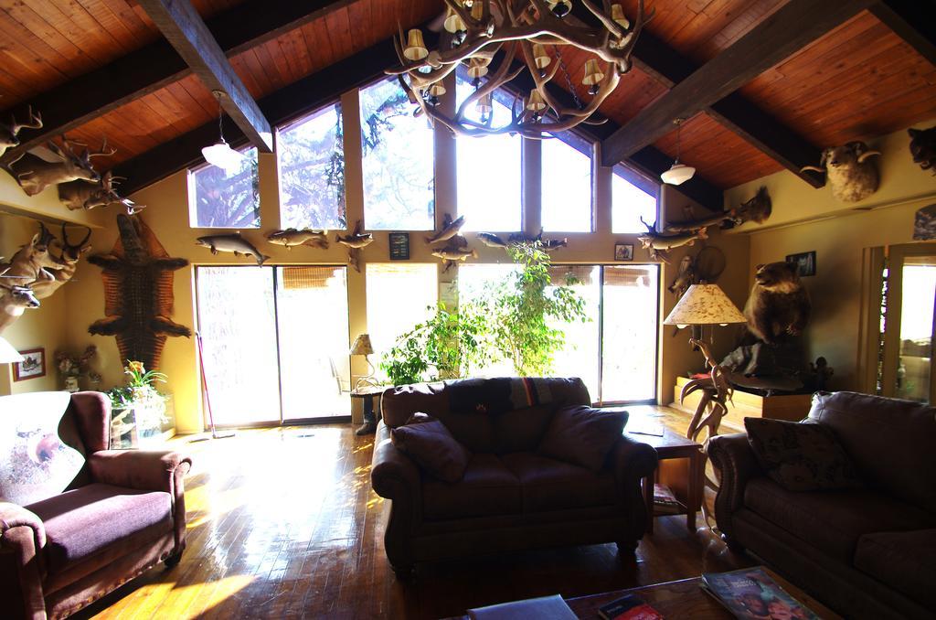 Whitebird Summit B And B