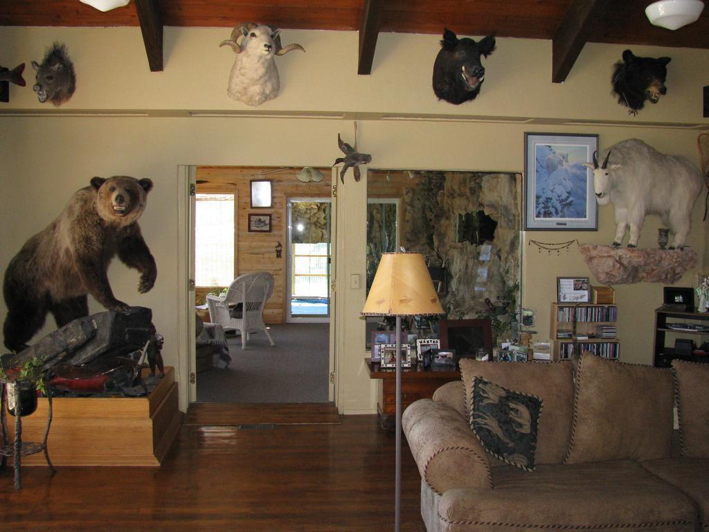 Whitebird Summit B And B