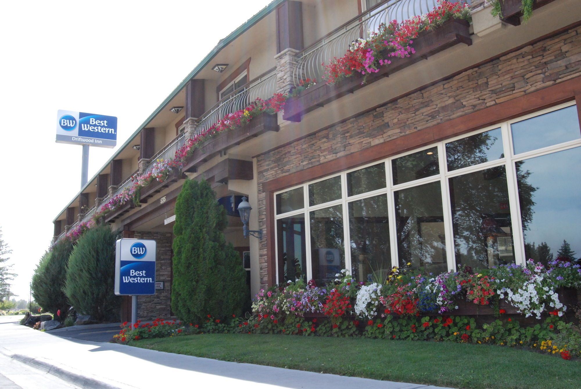 Best Western Driftwood Inn