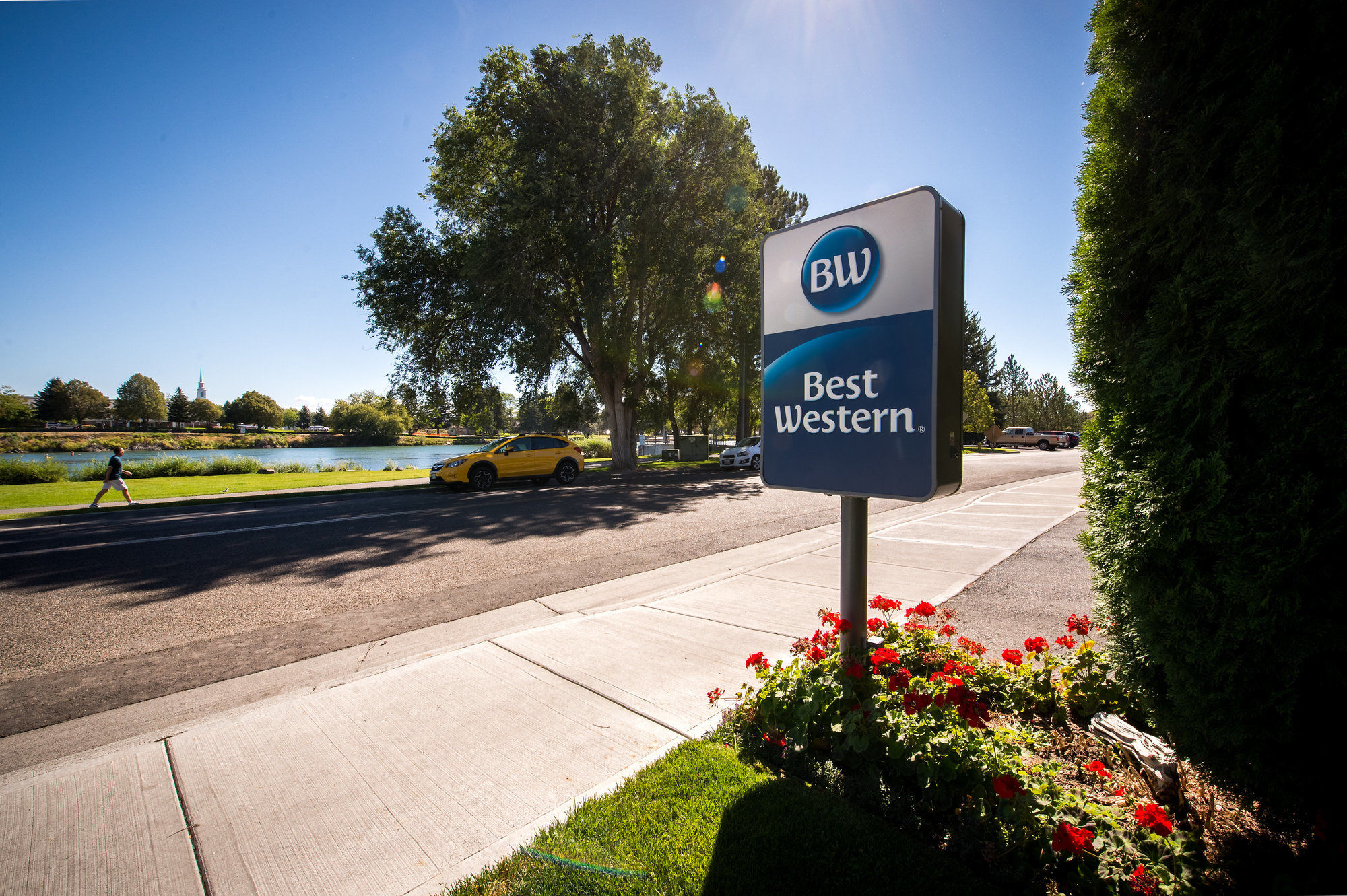 Best Western Driftwood Inn