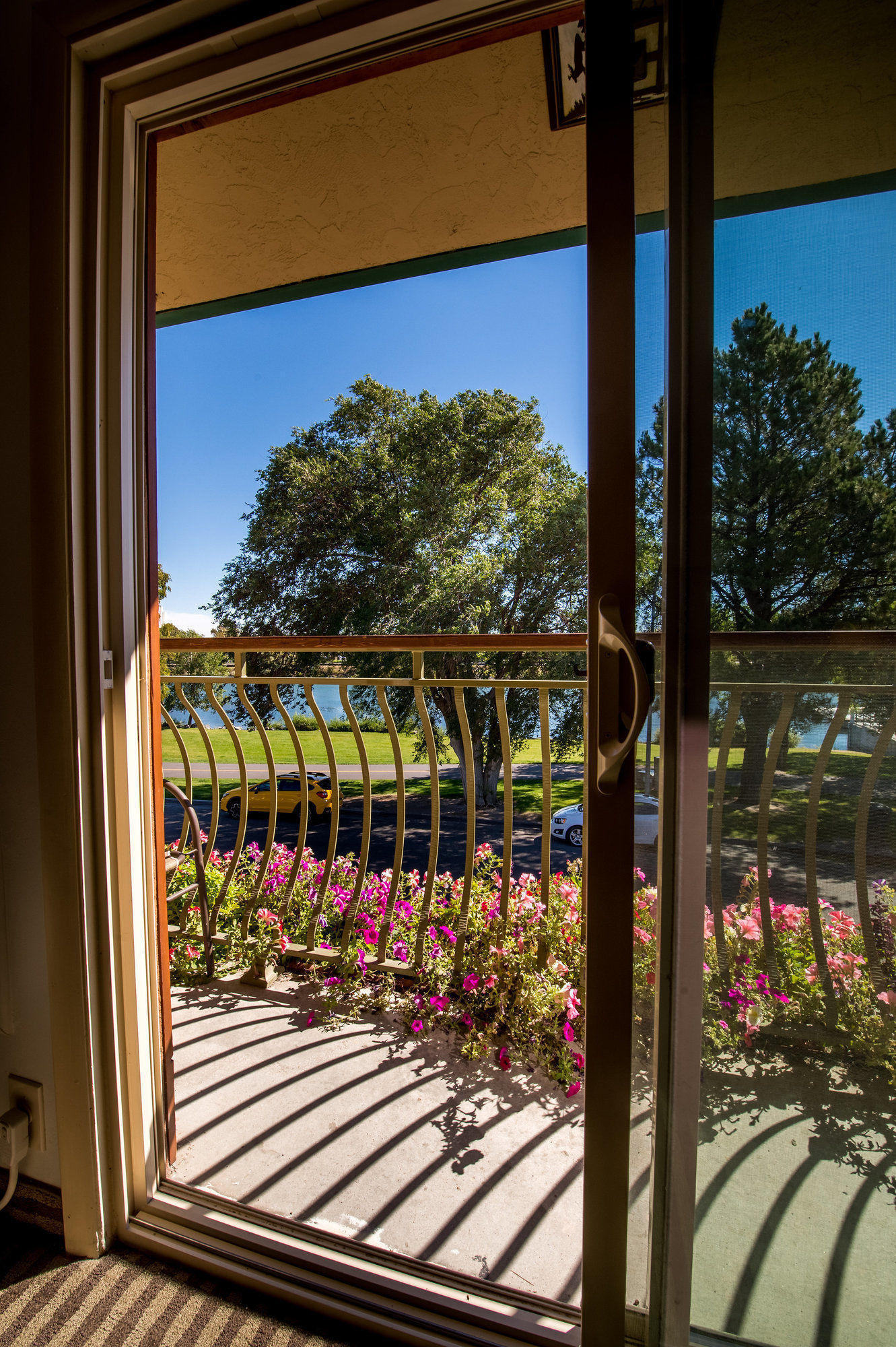 Best Western Driftwood Inn
