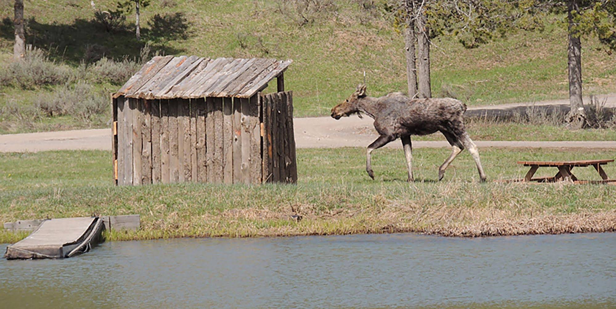 Eagle Ridge Ranch