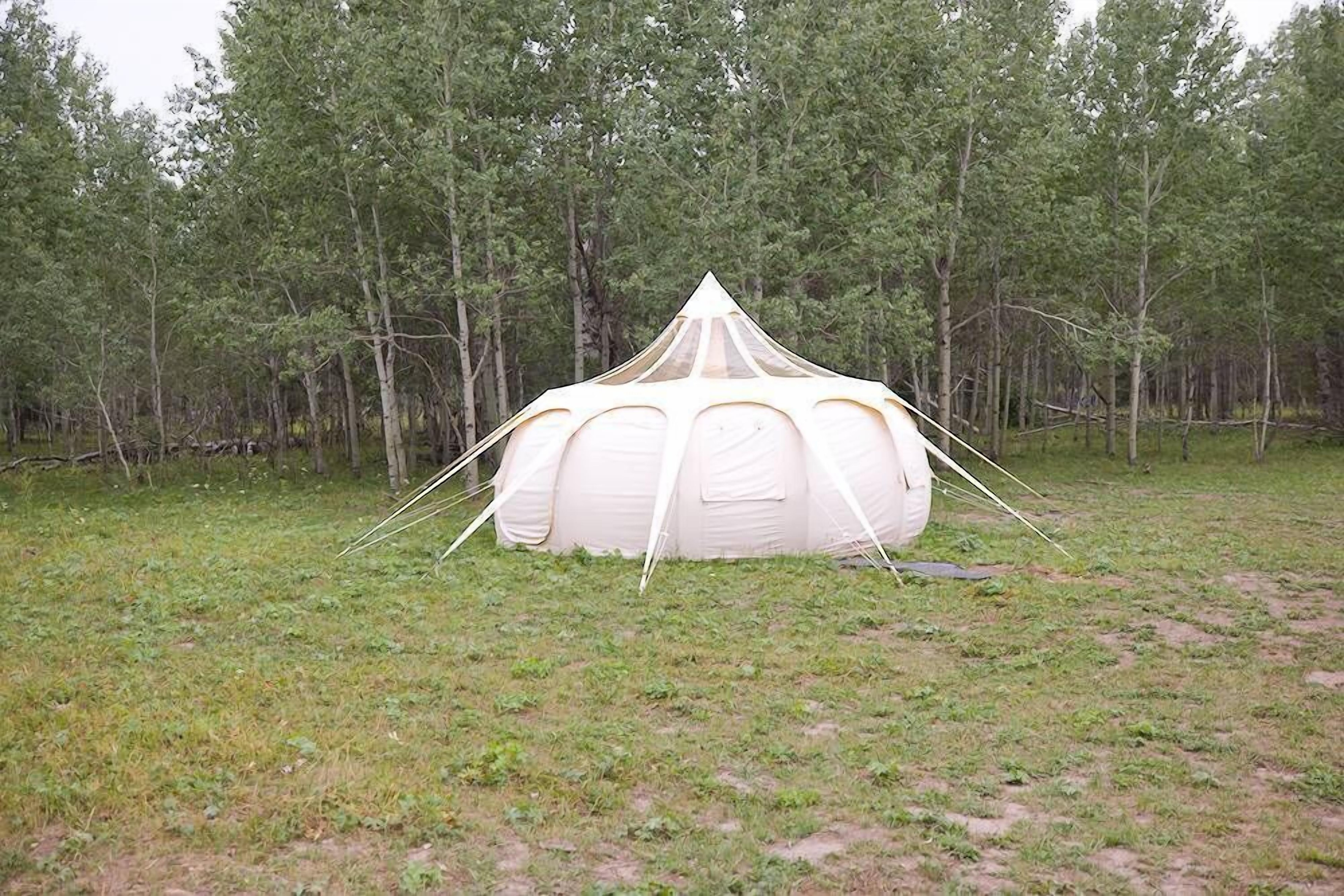 Starlight Retreat Yellowstone