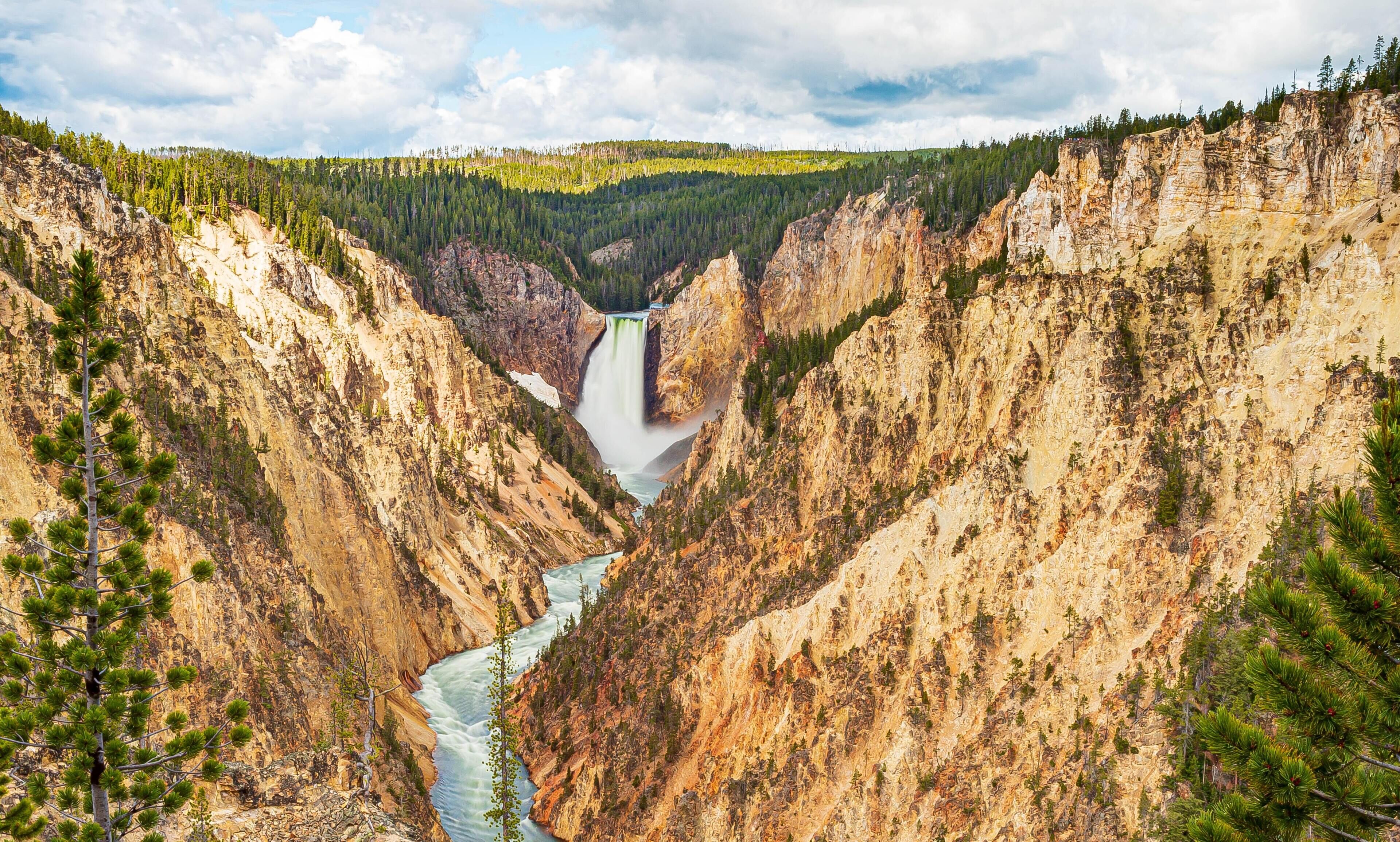 Wander Camp Yellowstone