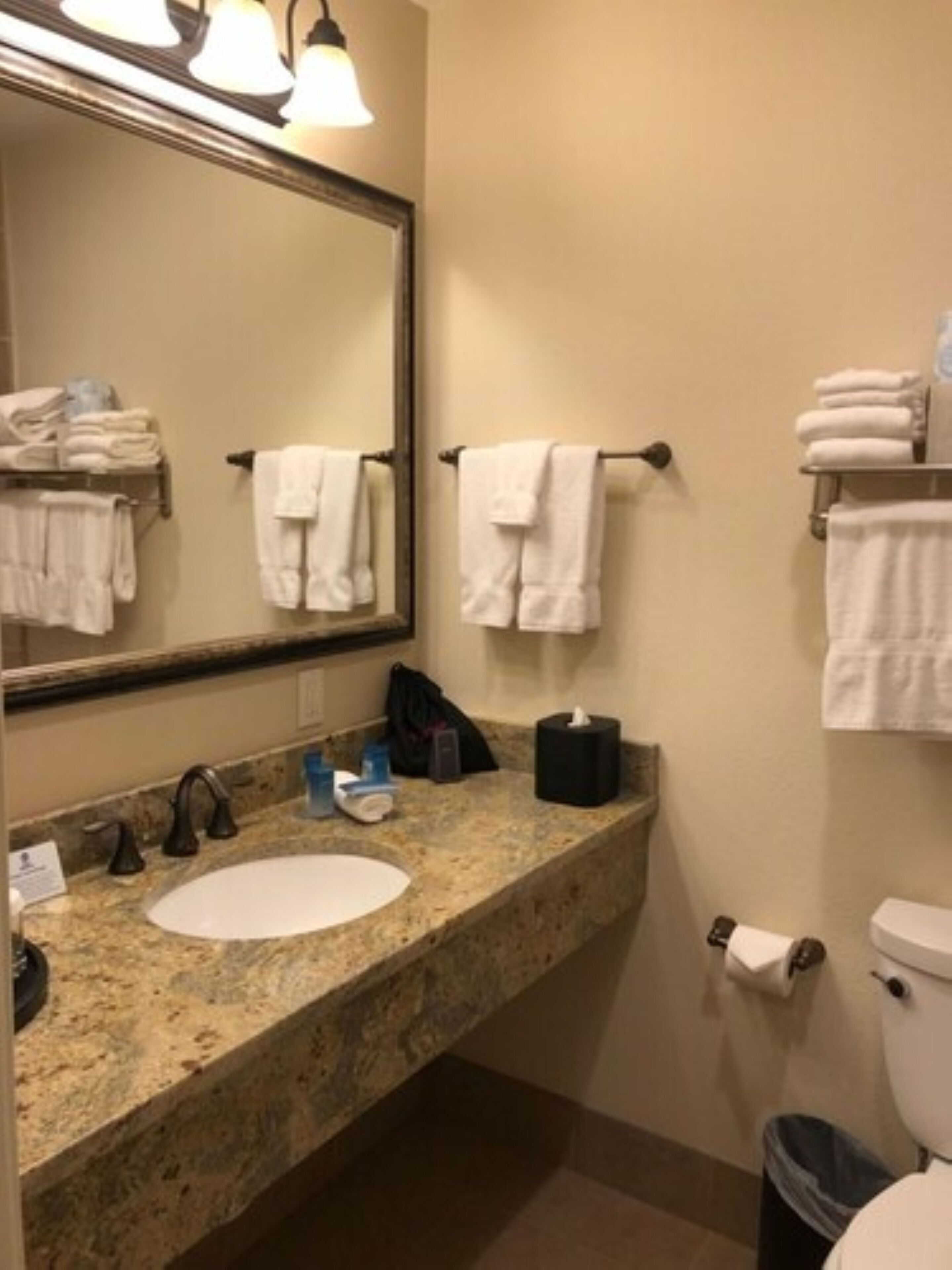 Best Western Tyrolean Lodge