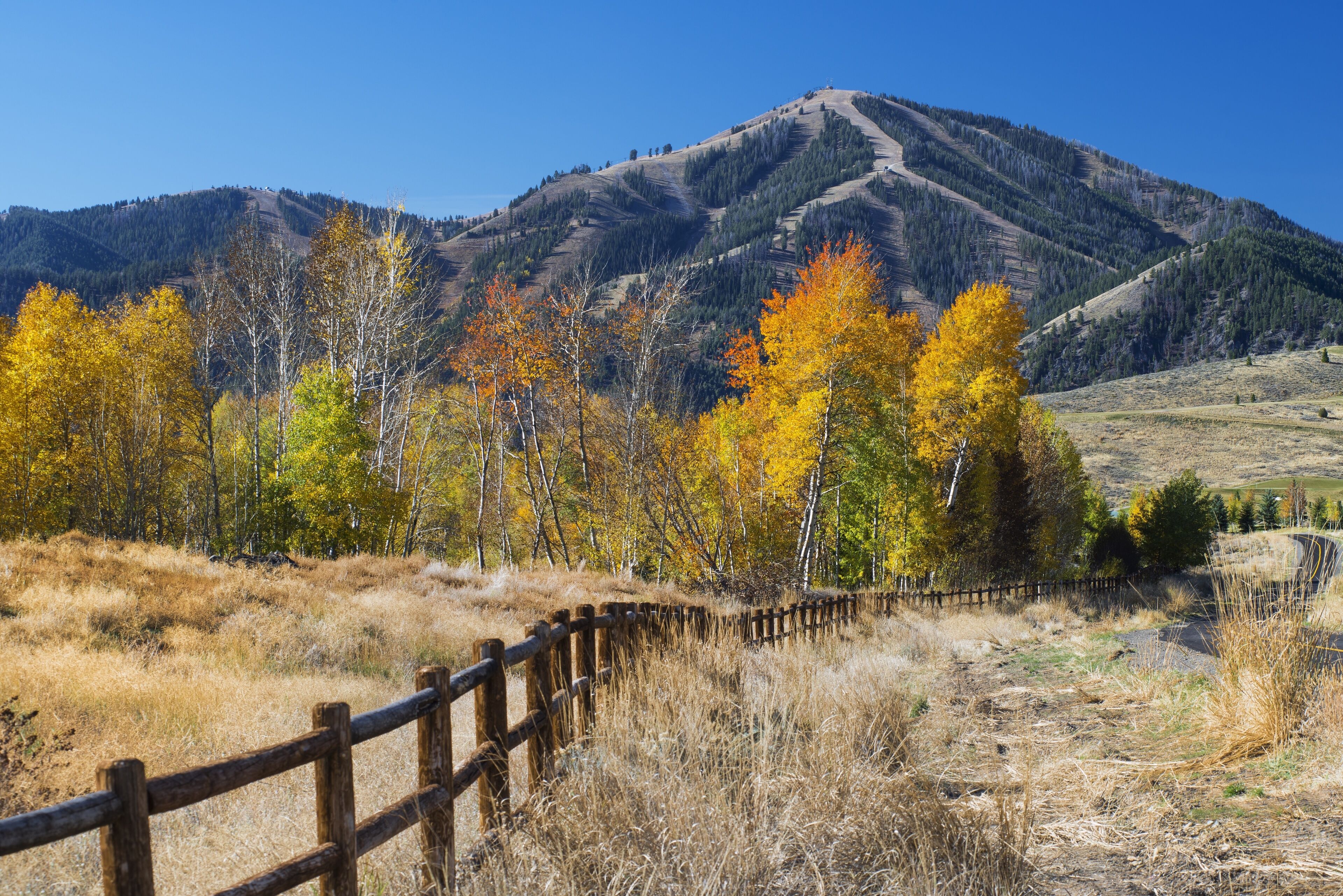 Limelight Hotel Ketchum
