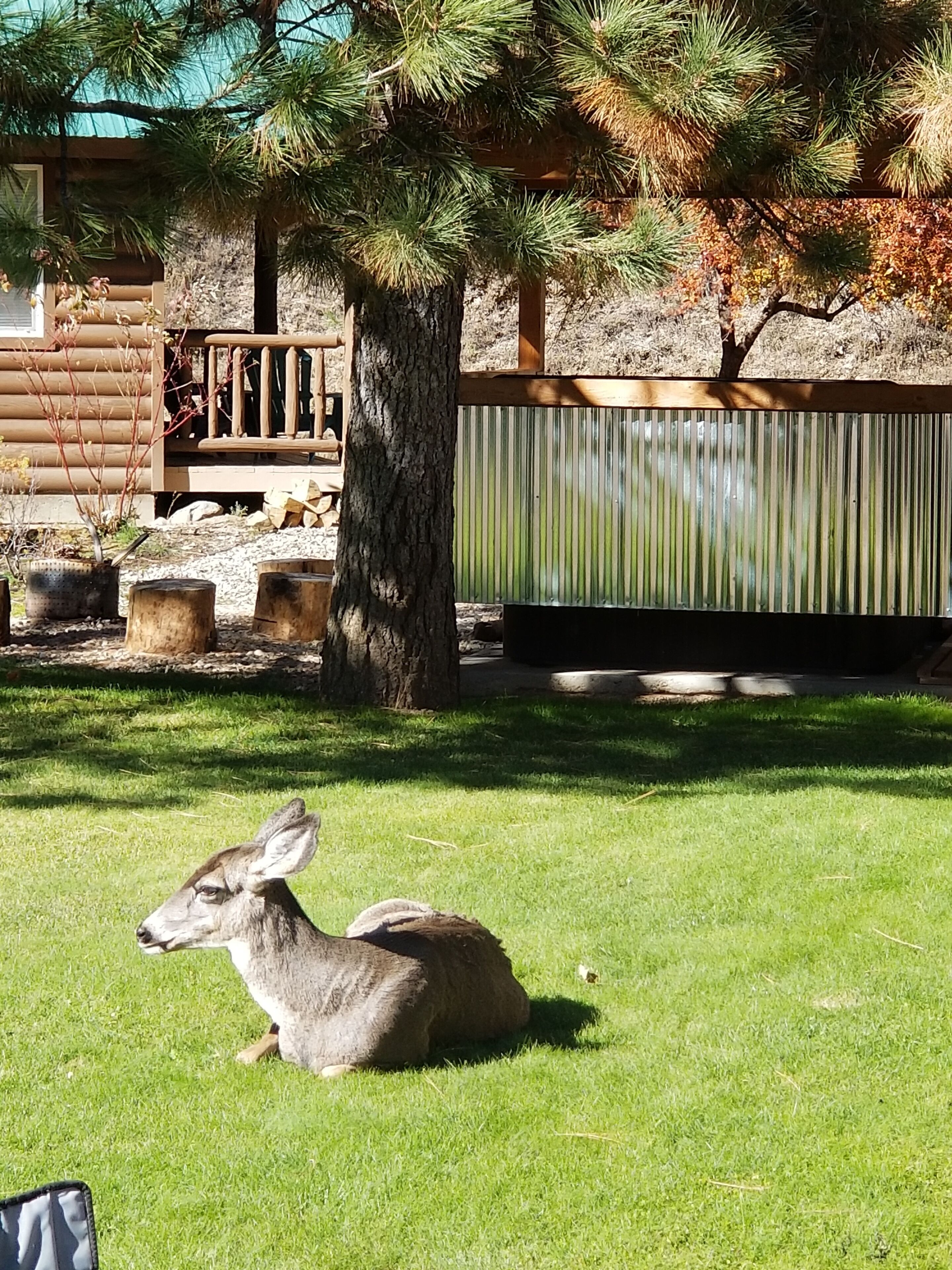 Sourdough Lodge