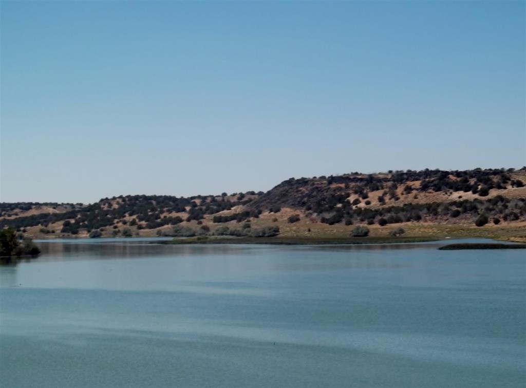 Best Western Pocatello Inn