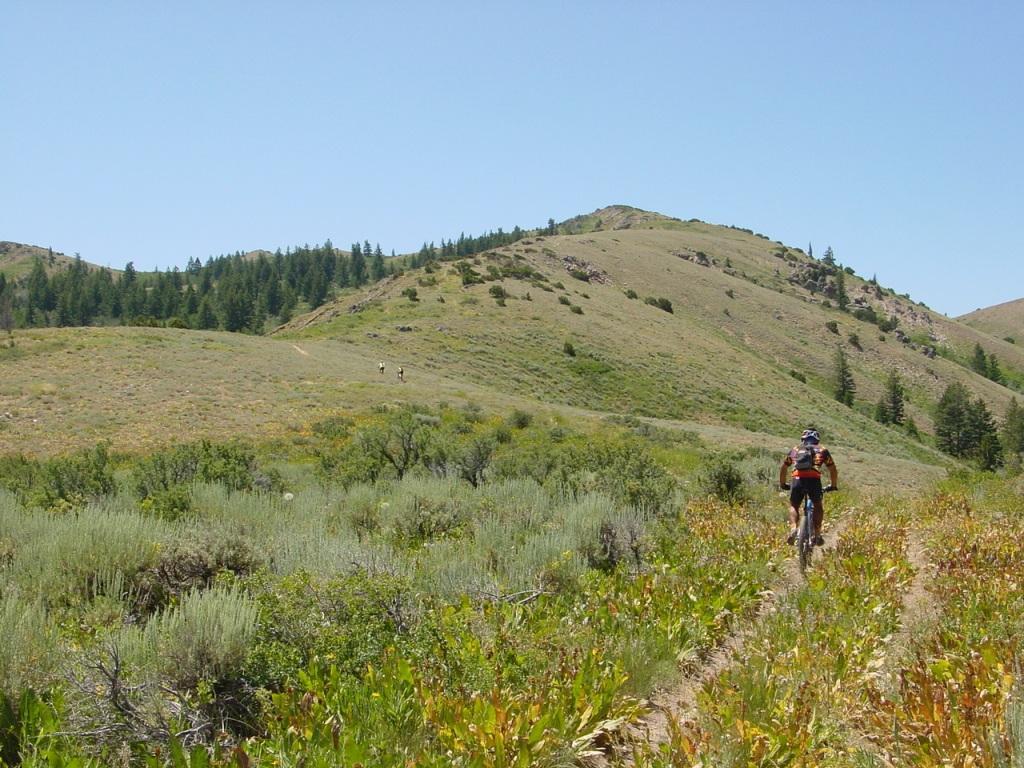 Best Western Pocatello Inn