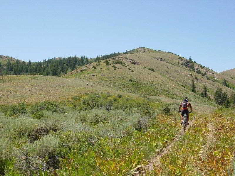 Best Western Pocatello Inn