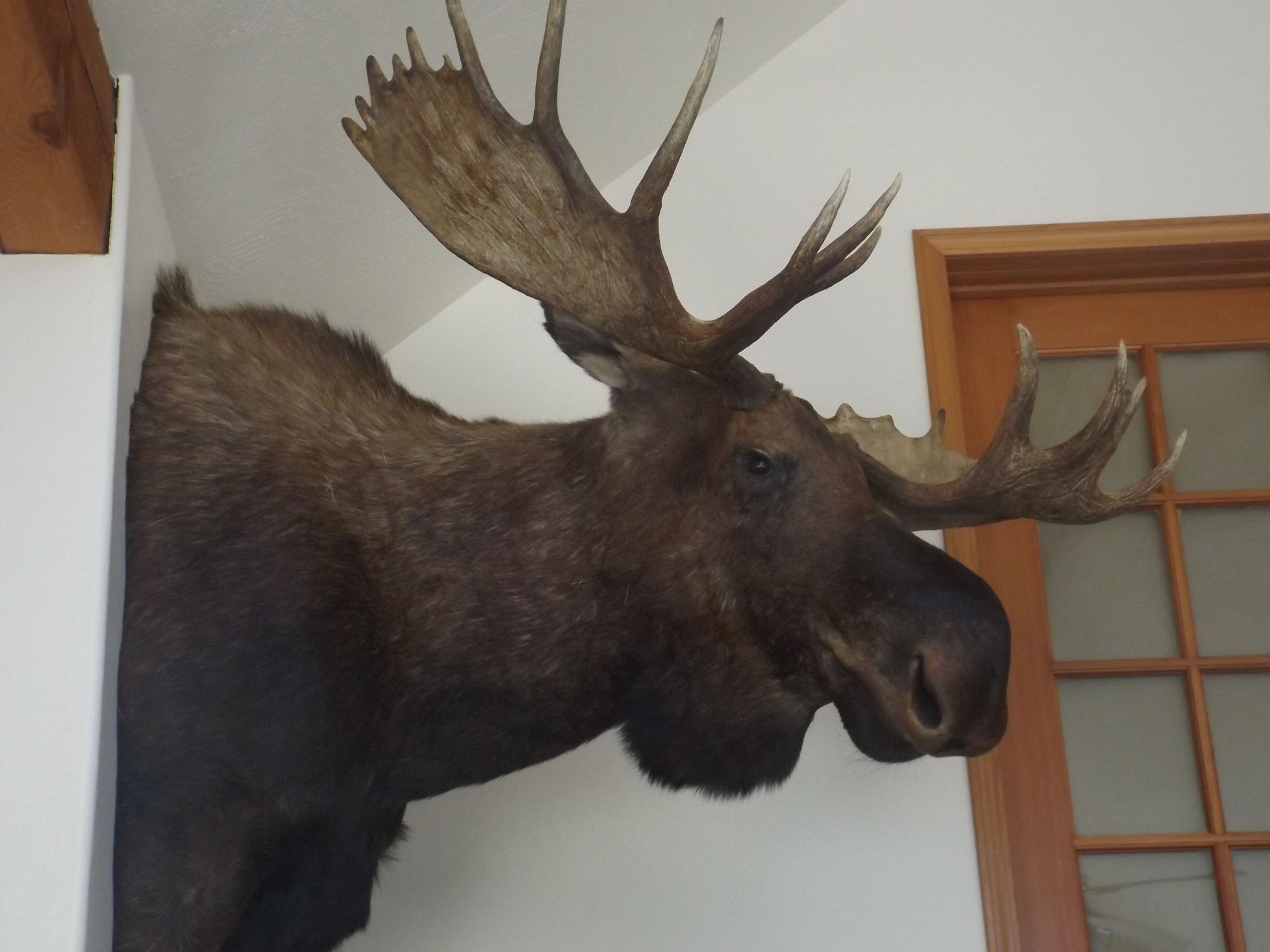 Clark Fork Lodge