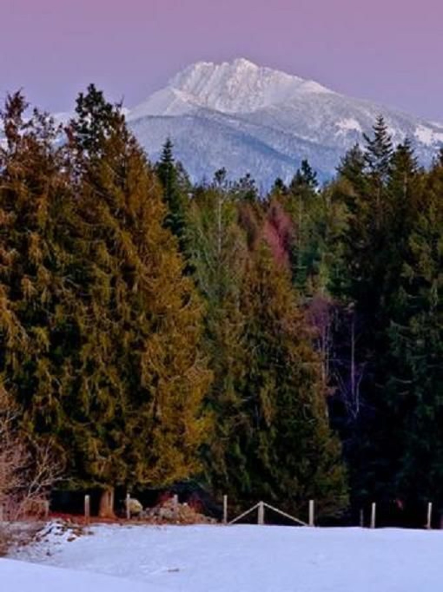 Clark Fork Lodge