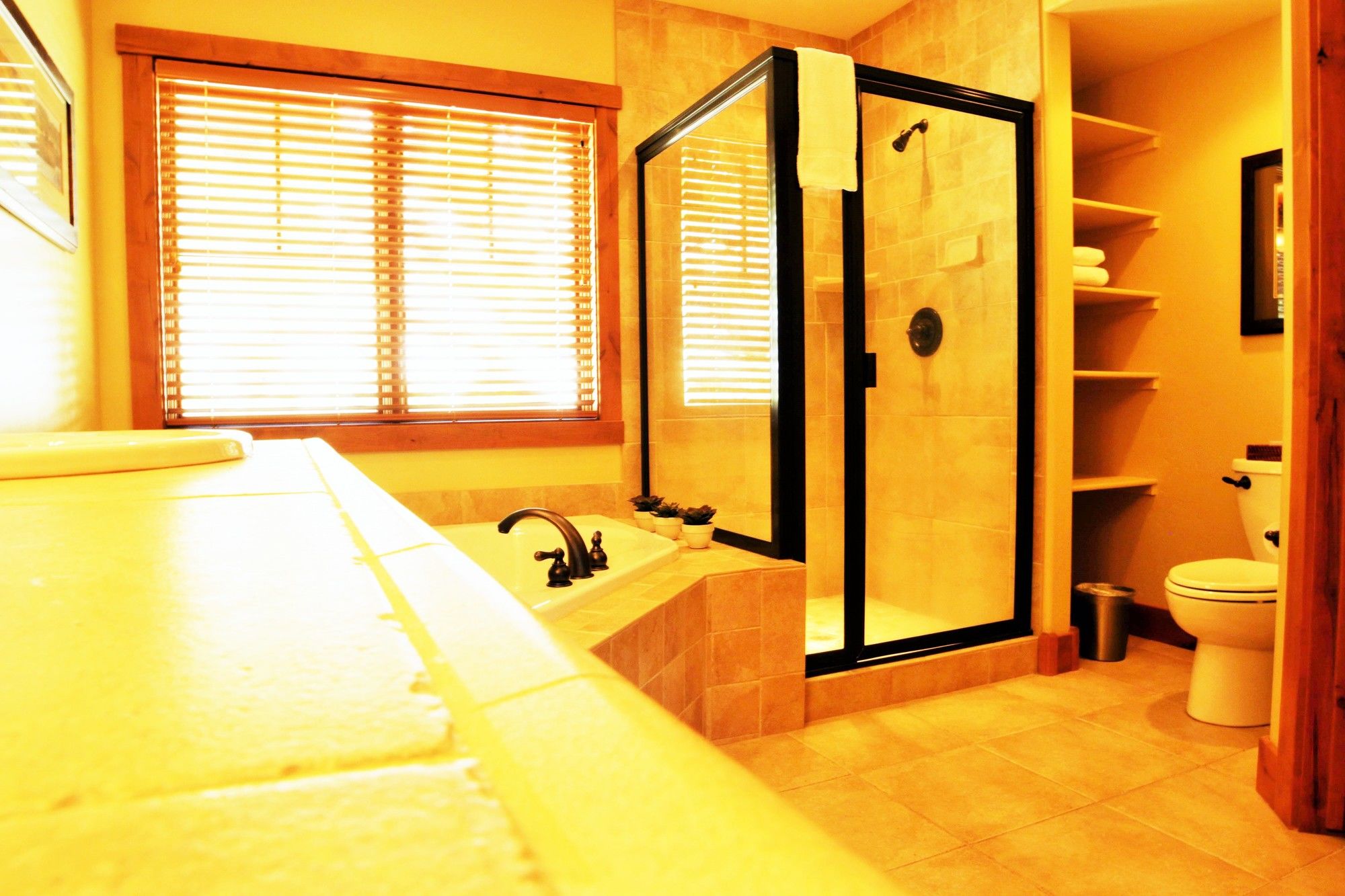 Tamarack Resort