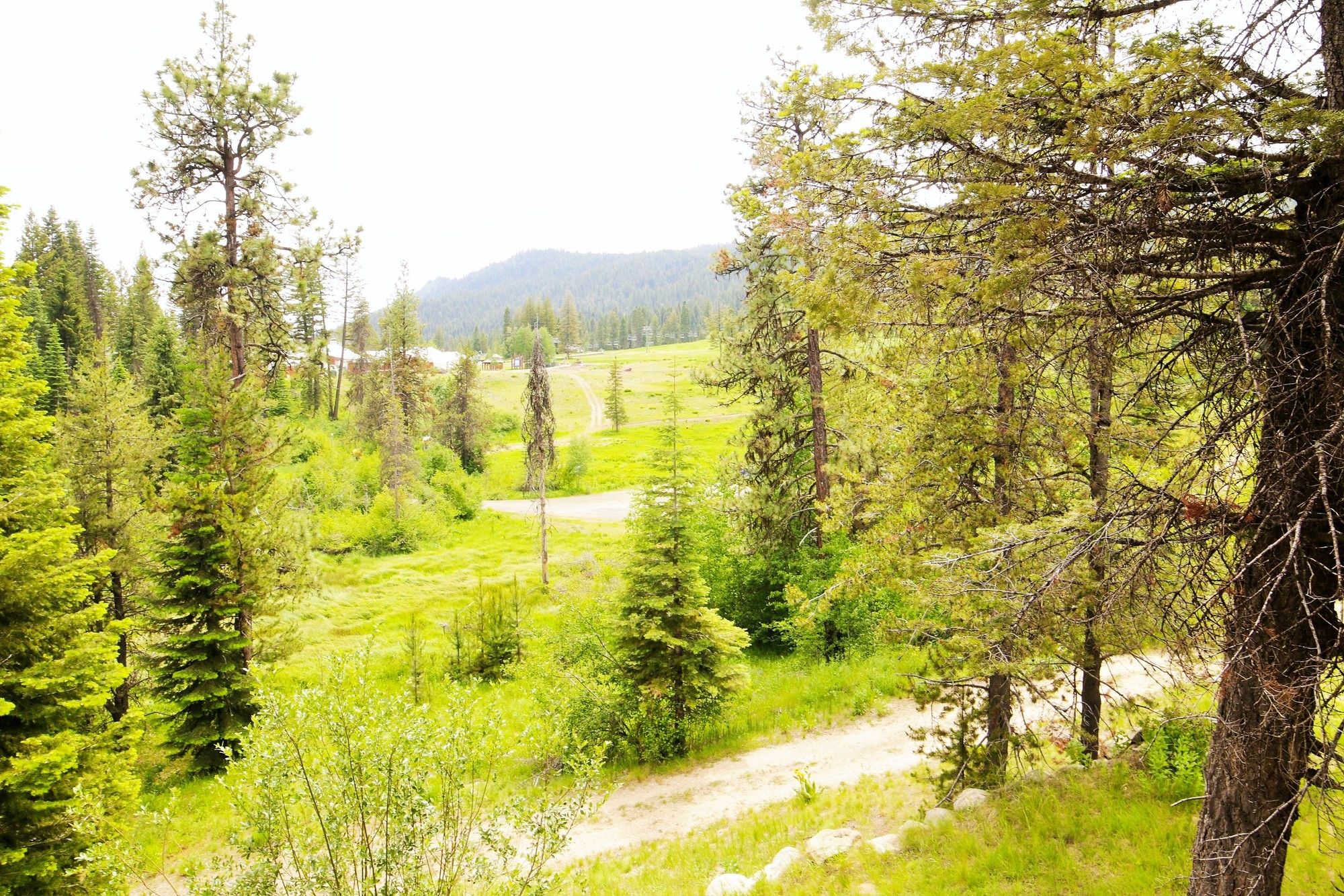 Tamarack Resort