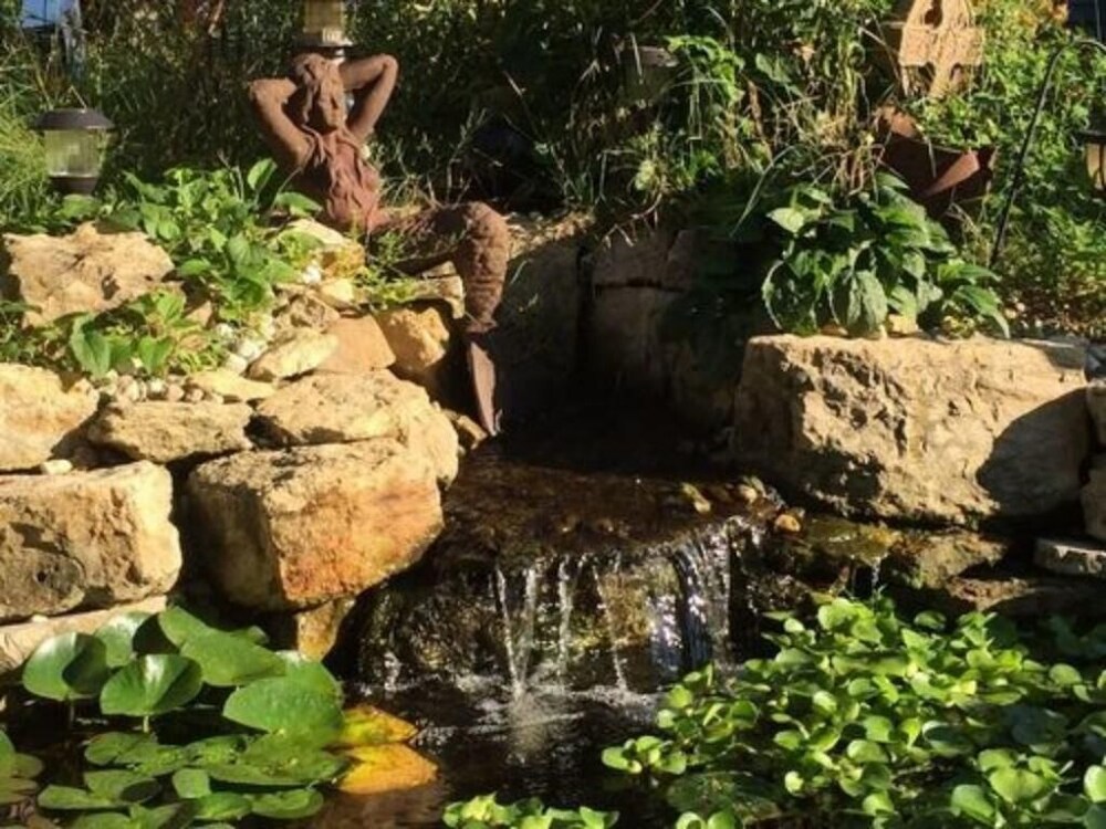 Dragonfly Bed and Breakfast