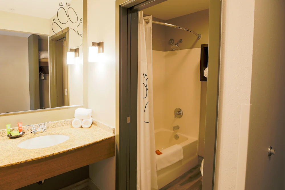 Great Wolf Lodge Chicago/Gurnee